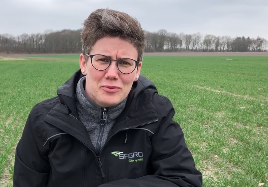 Har du styr på ukrudt i din vintersæd?