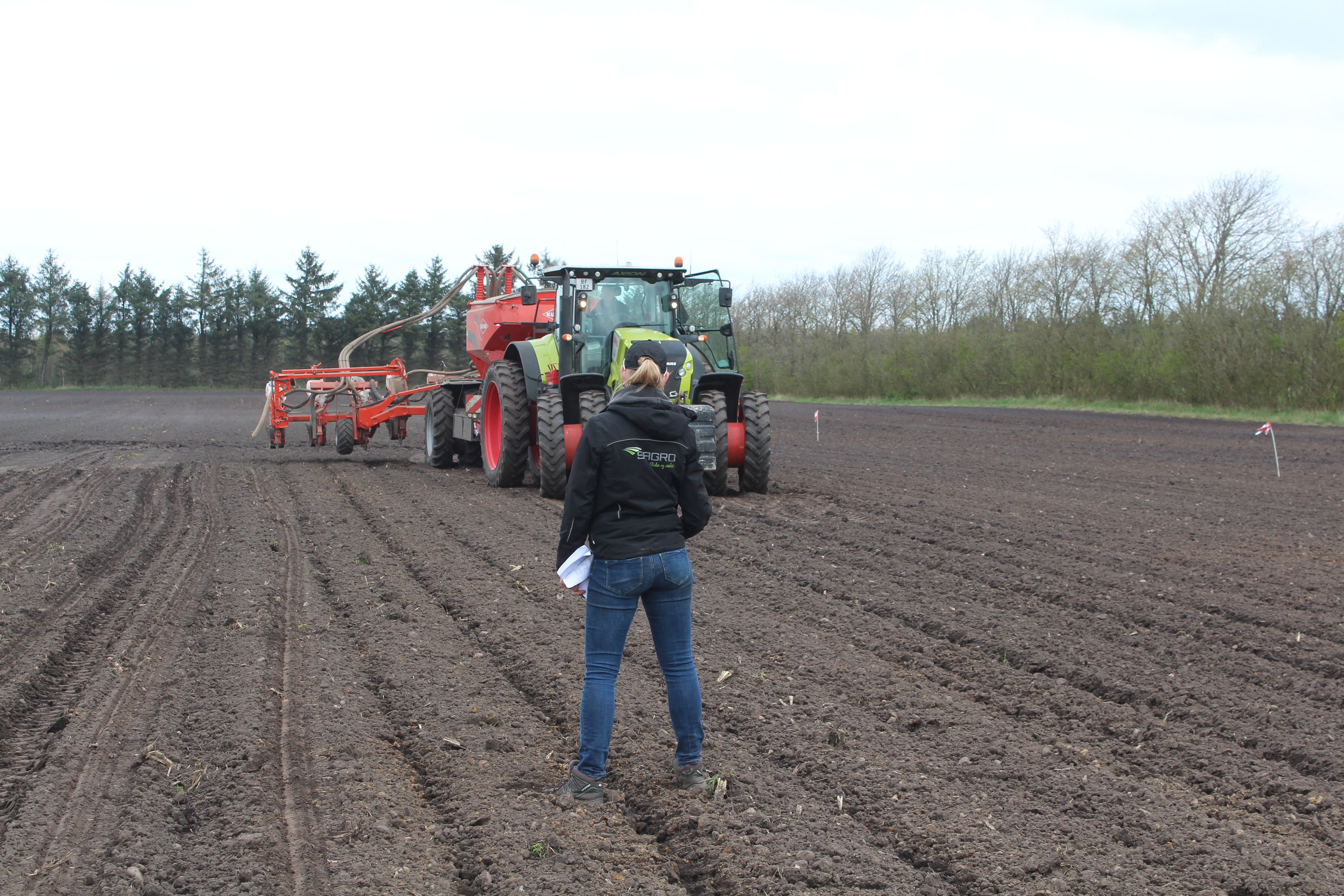 Kom majs, du søde milde