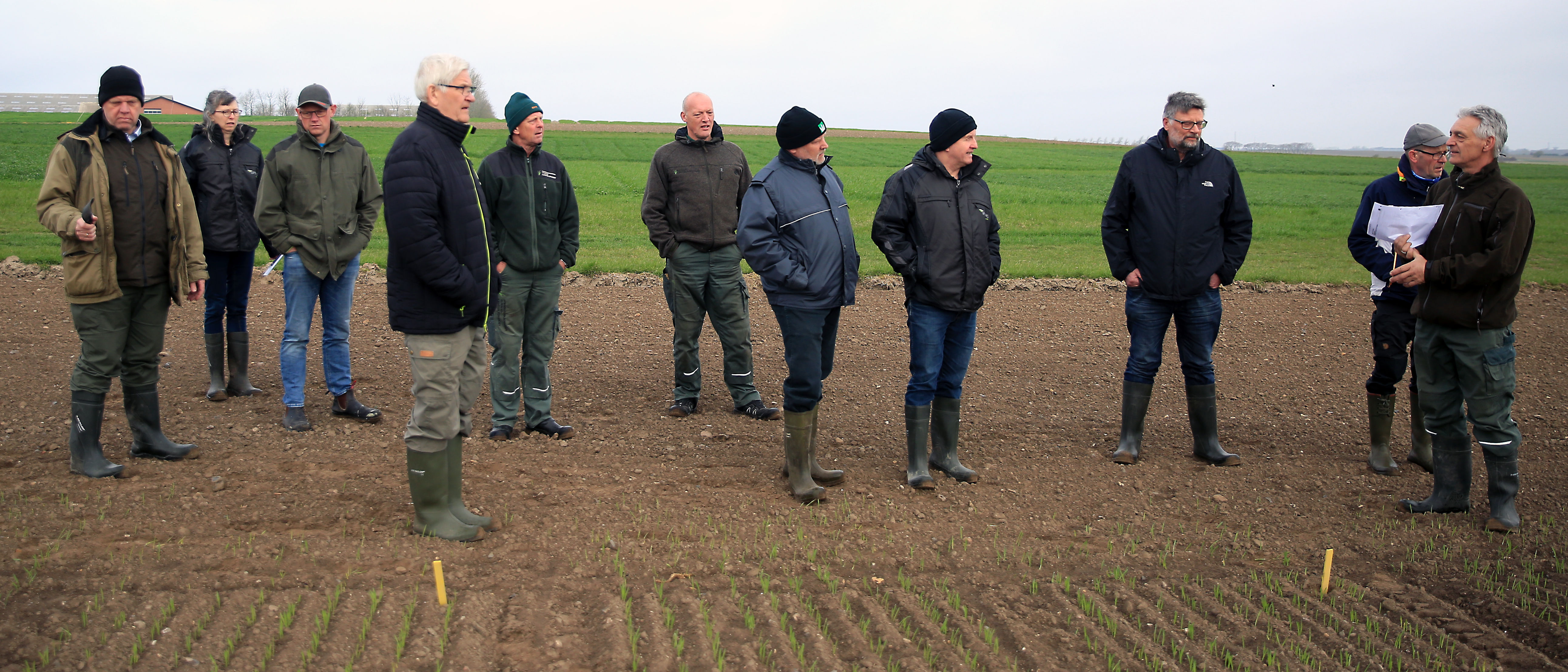SAGRO med i konkurrence på maltbyg