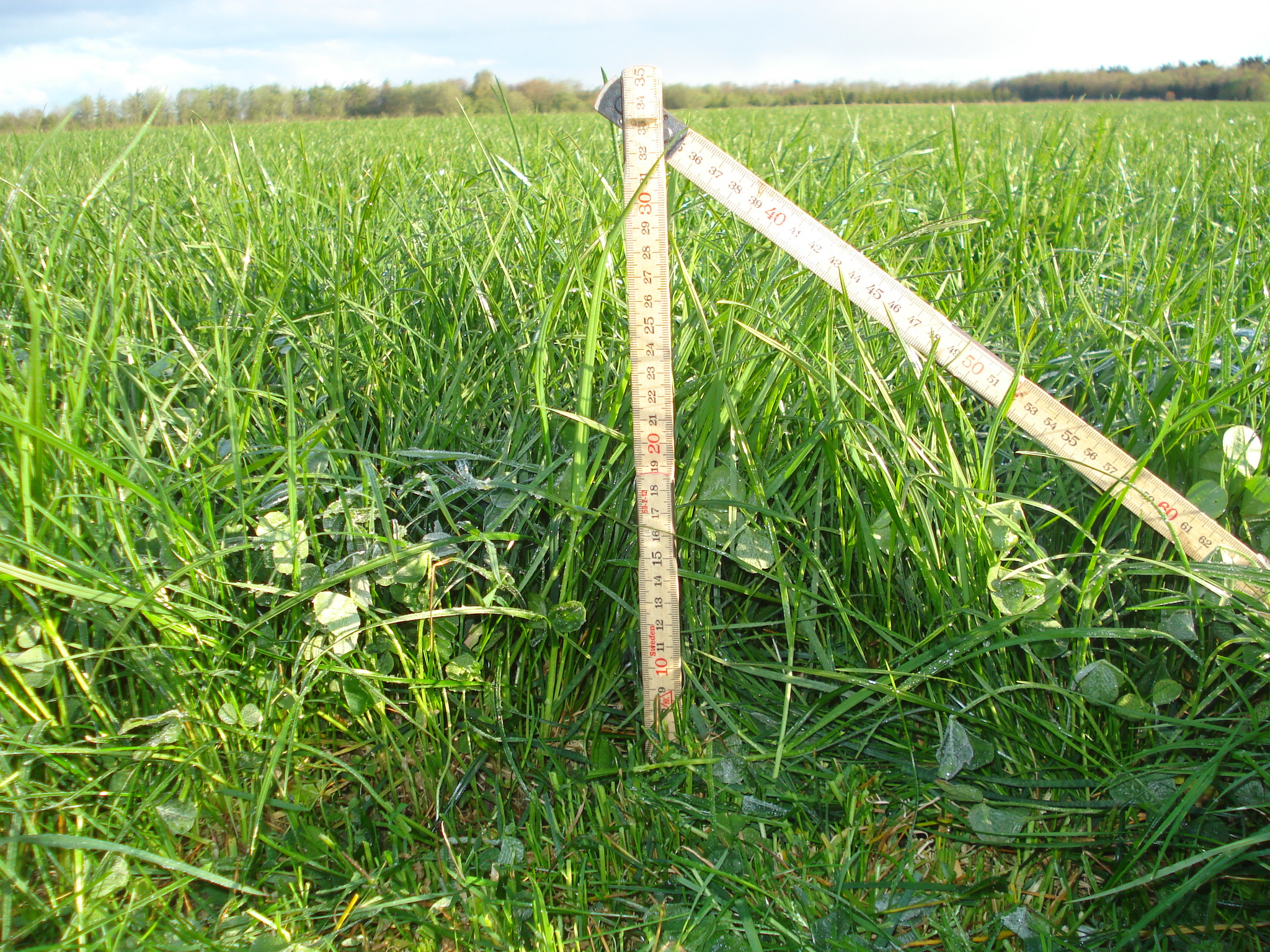 Følg slætgræsanalyserne i denne uge