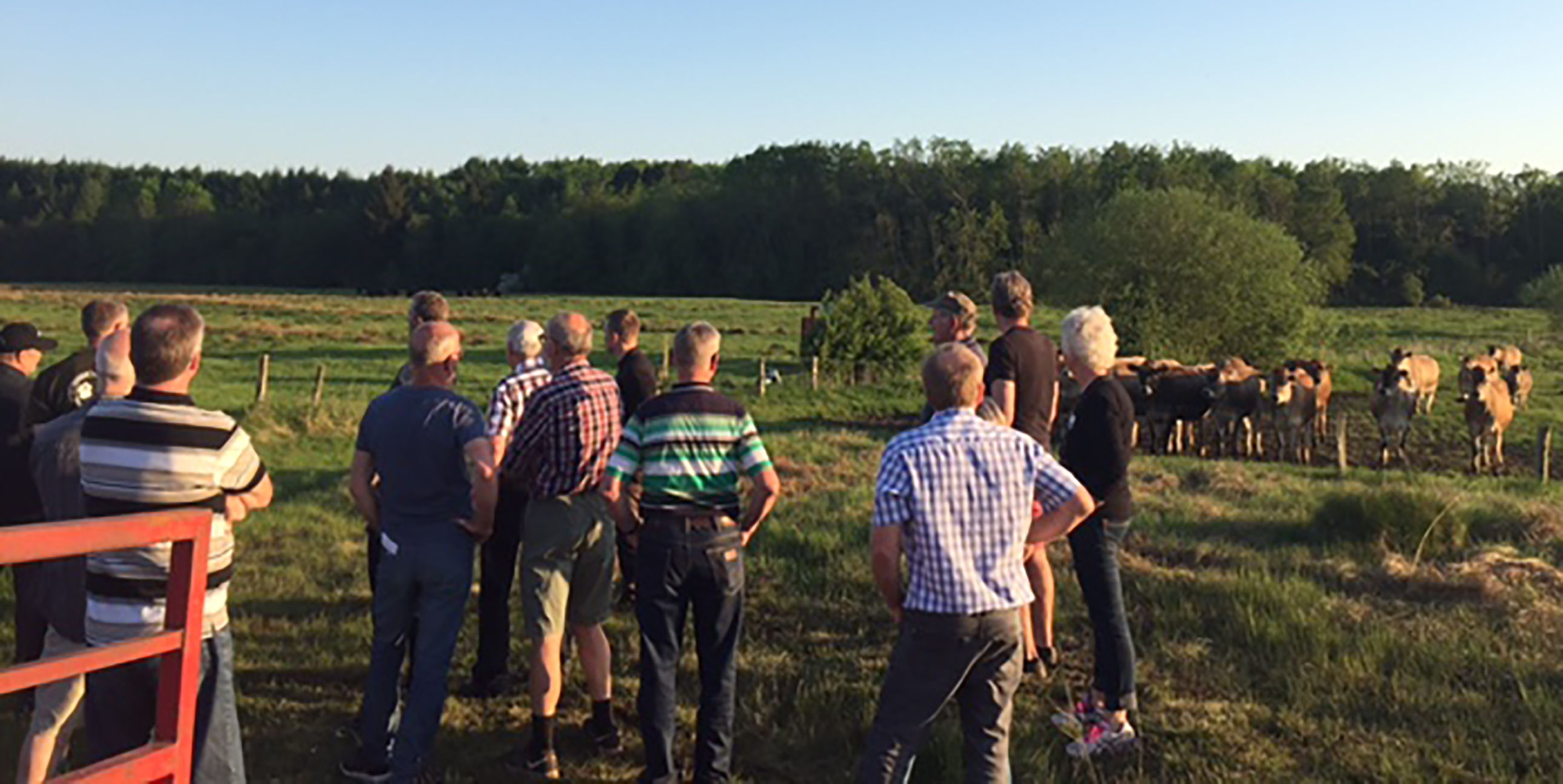 Natur og landbrug i god harmoni