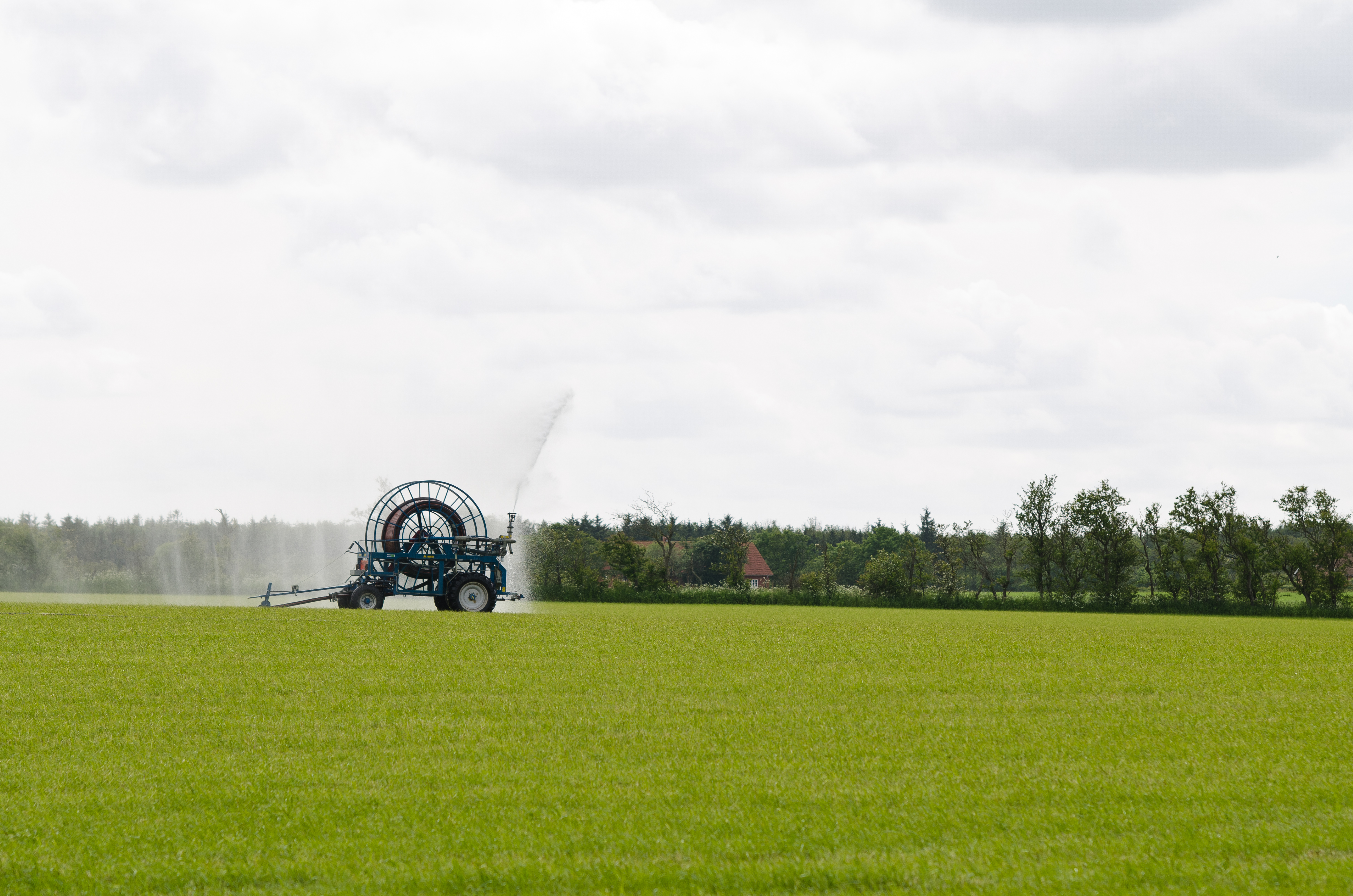 Halv pris på rådgivningspakke om vanding - kun 2.500 kr. plus moms