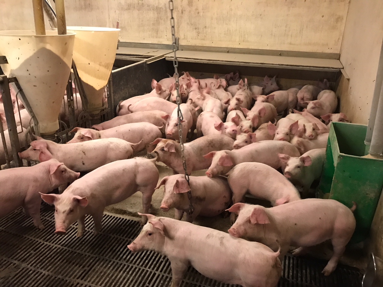 Forebyg strømsvigt i sommervarmen