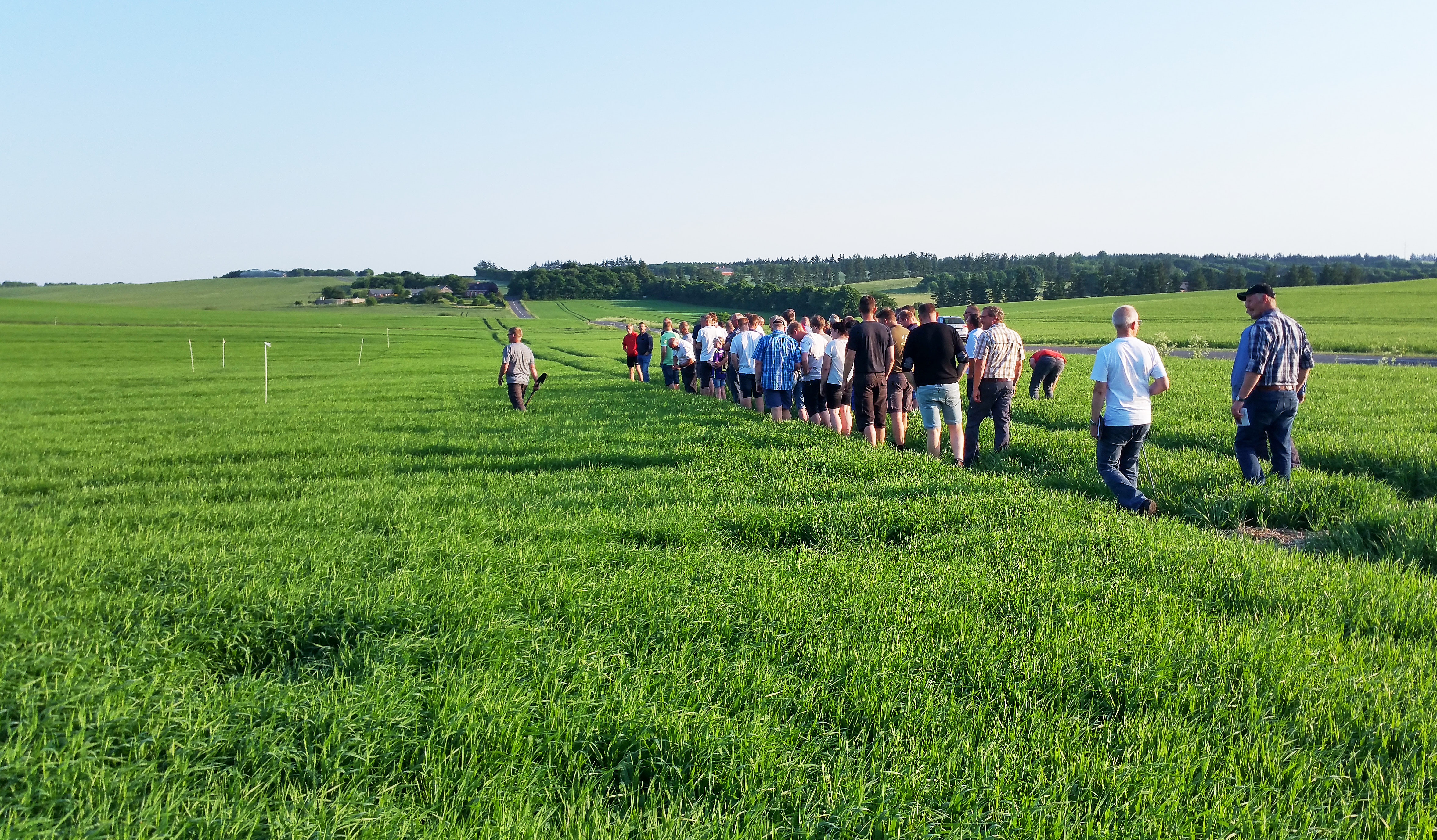 NoTill-dyrkning i Sørvad imponerer