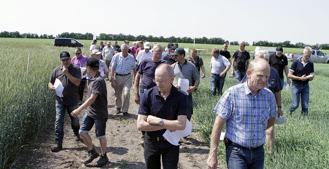 Vejret har klaret vækstregulering i år