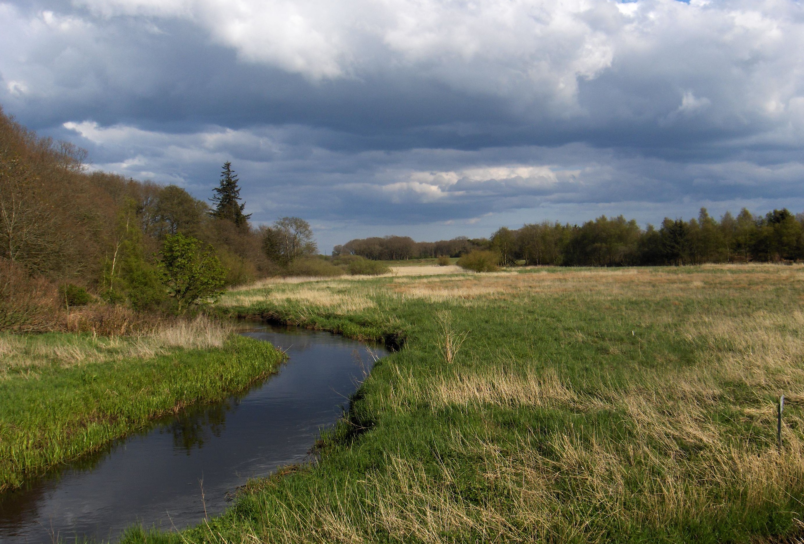 Esbjerg Kommune kortlægger kvælstoffølsom natur