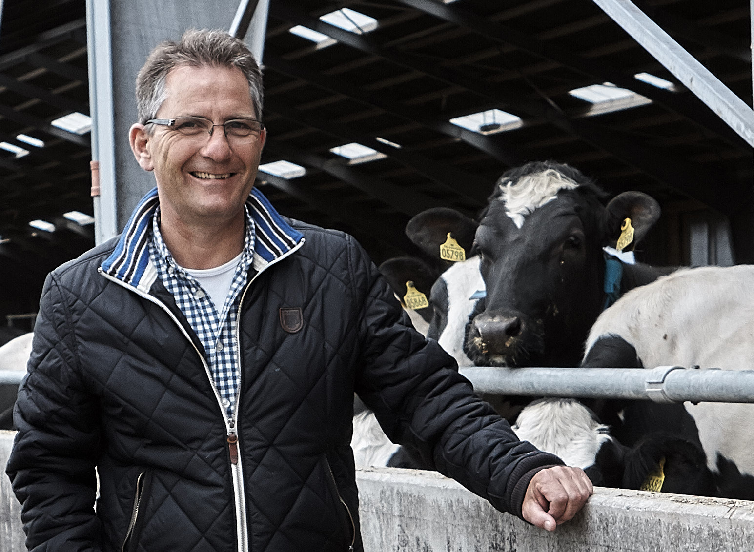 Ny kvægchef fra egne rækker