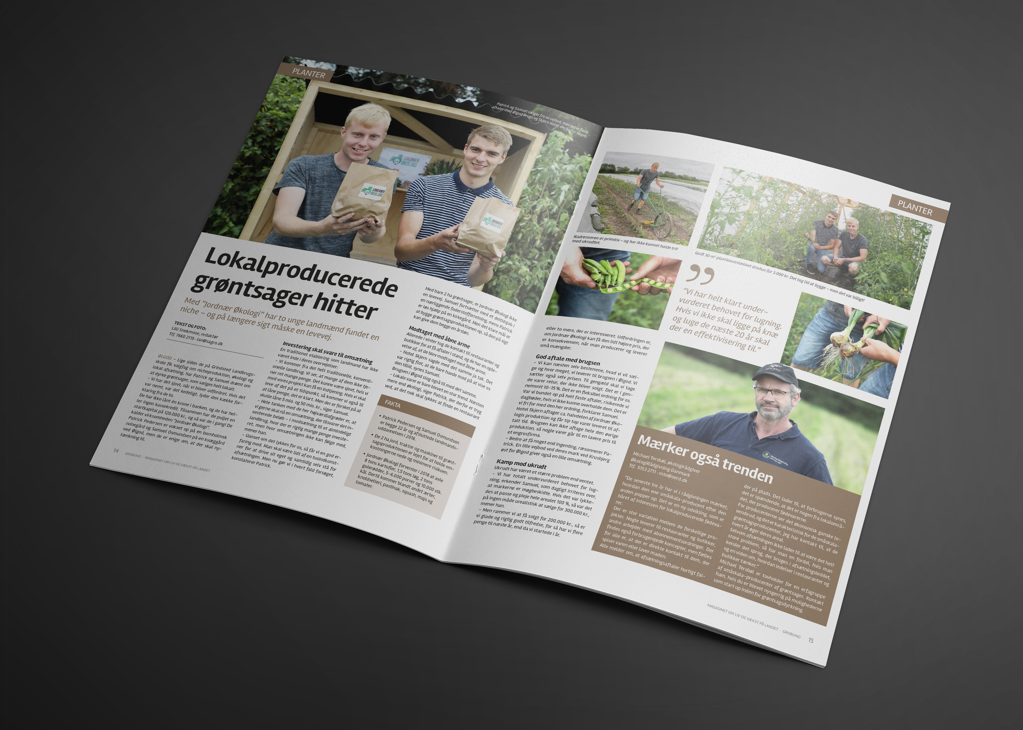 Grobund lige på trapperne