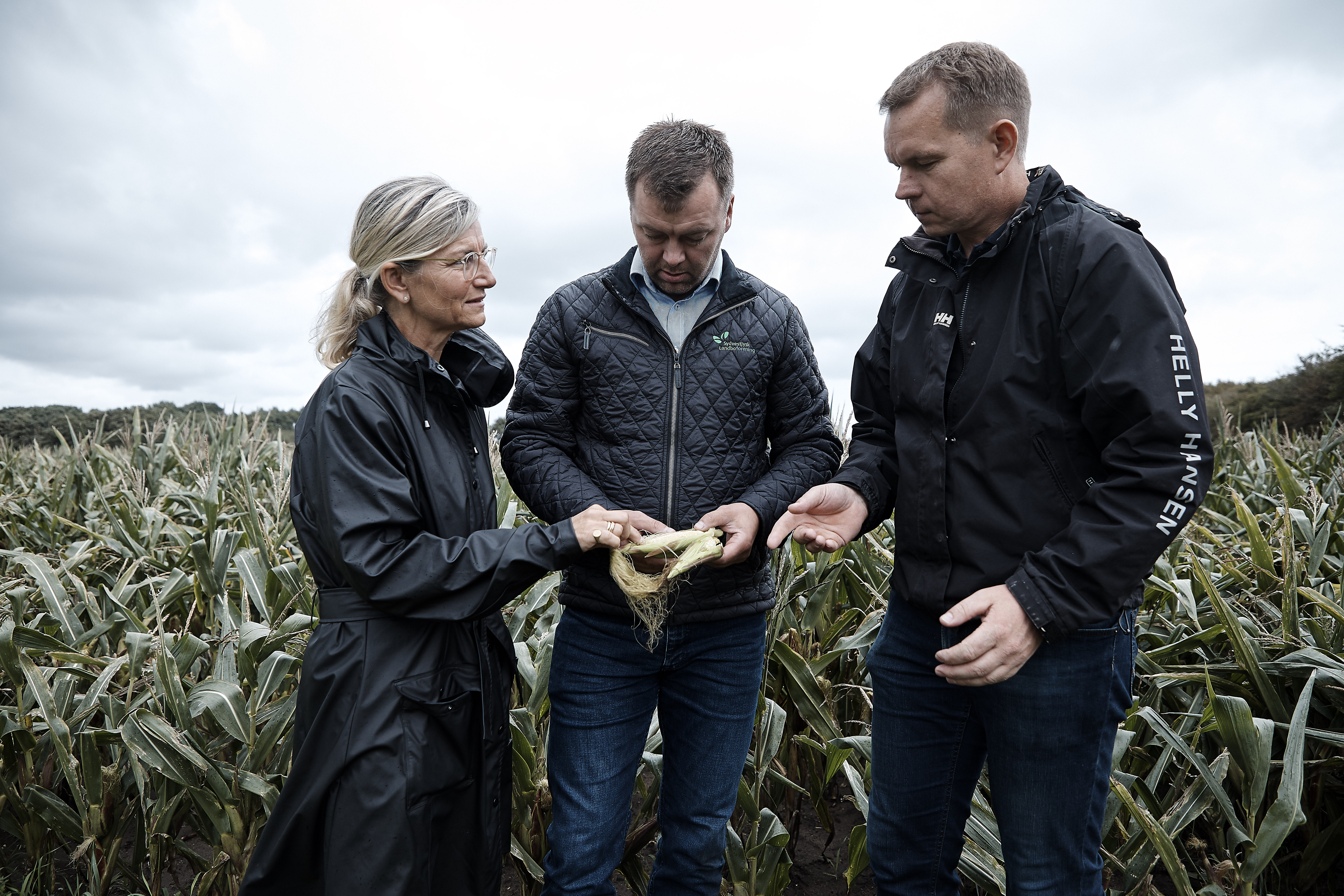 Politiker ønskede 1. håndsviden om tørken