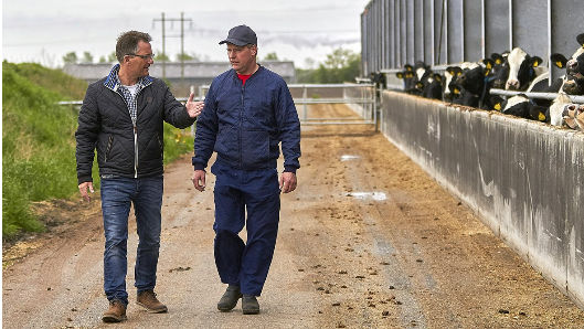 SAGRO justerer kursen for fremtidens kvægrådgivning
