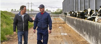SAGRO justerer kursen for fremtidens kvægrådgivning
