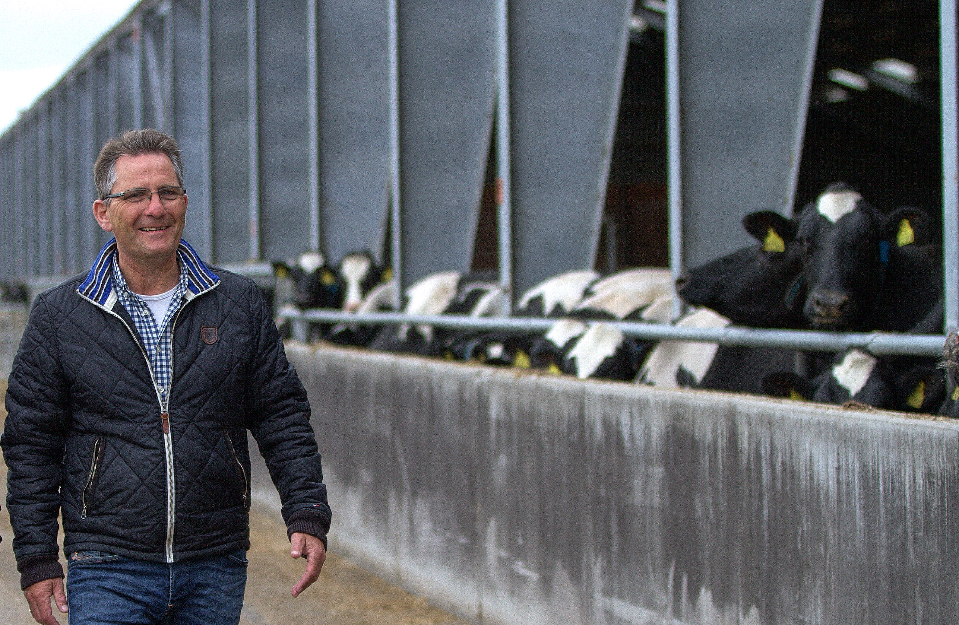 SAGRO Kvæg: Mer rådgivning for pengene