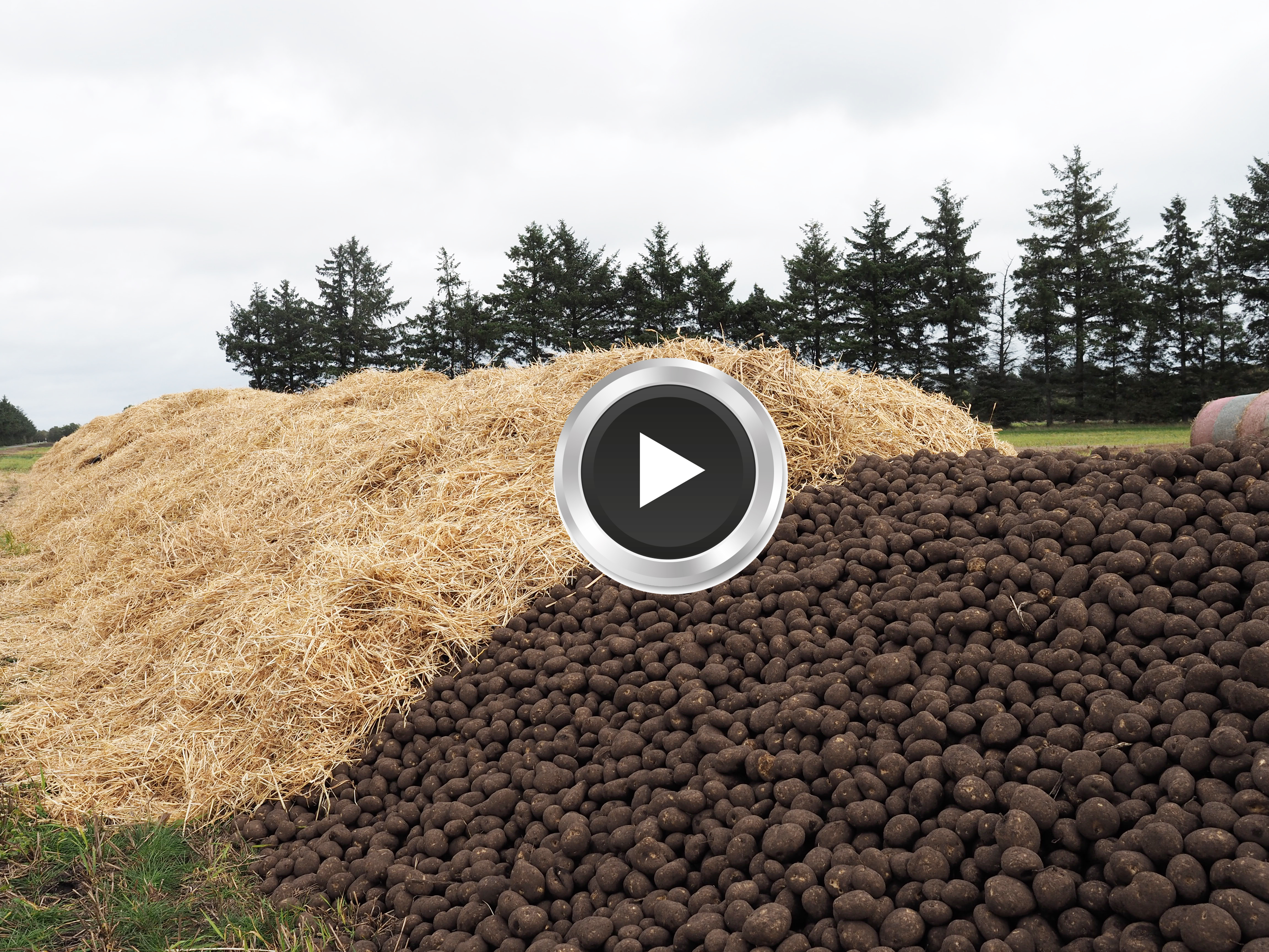 VIDEO: Lav den perfekte kartoffelkule