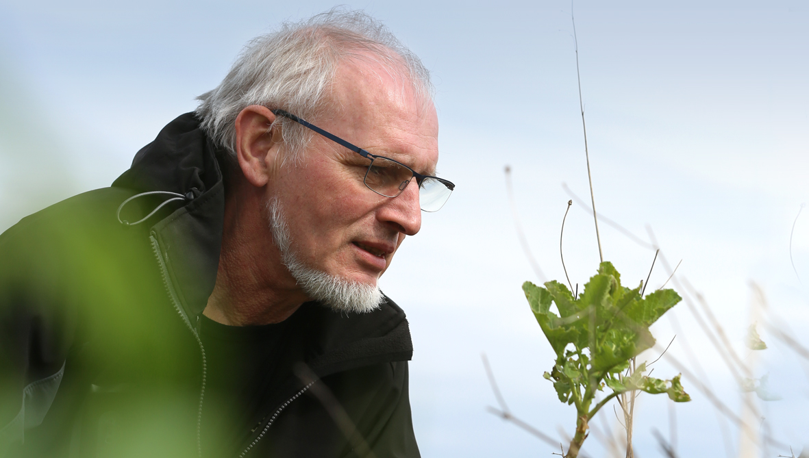 Jens Simonsen ny formand for deltidslandmændene