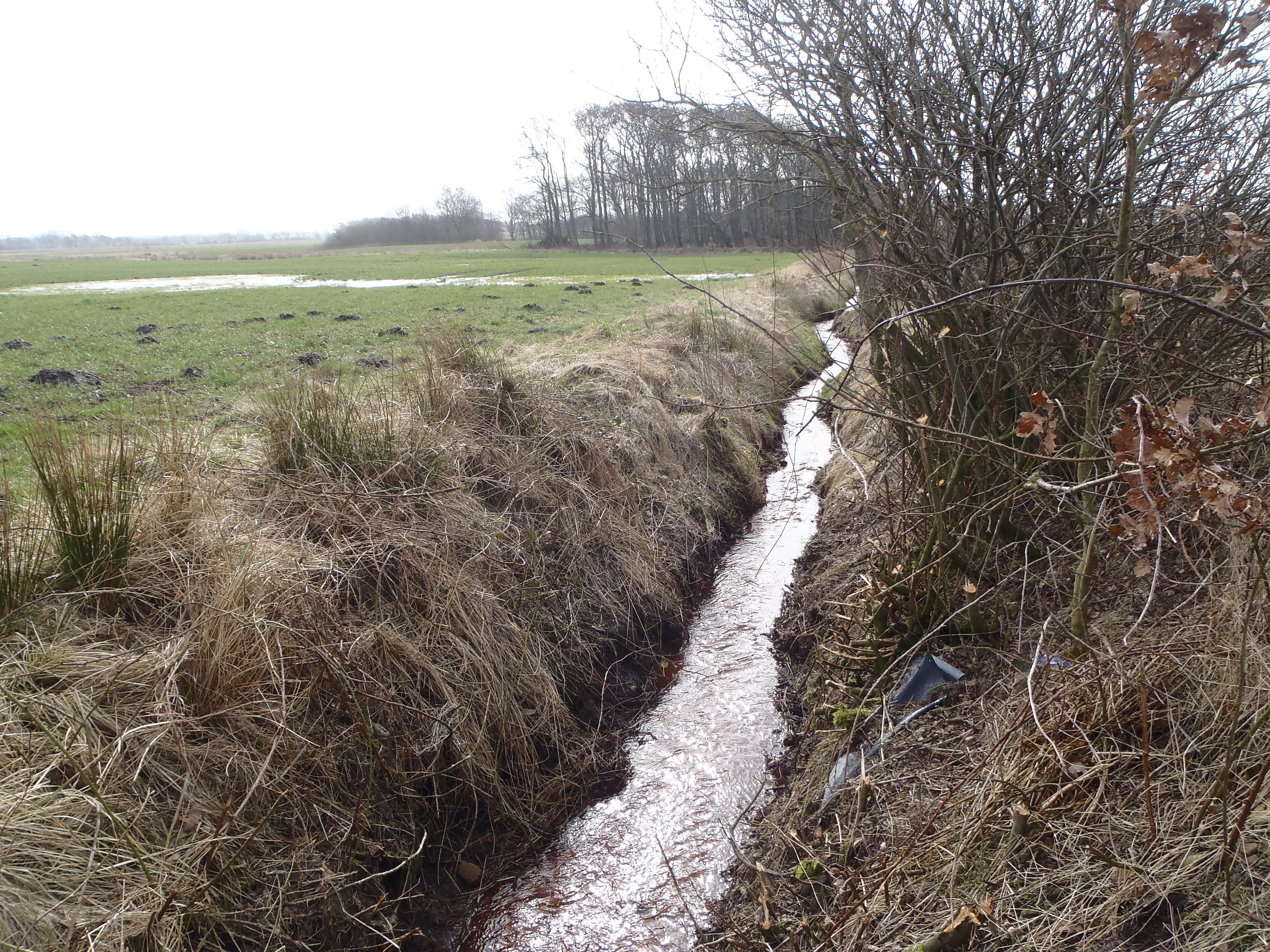 Landmænd mister indflydelse på vandløb