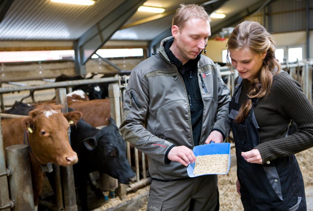Moderne landbrug kræver moderne ledelse