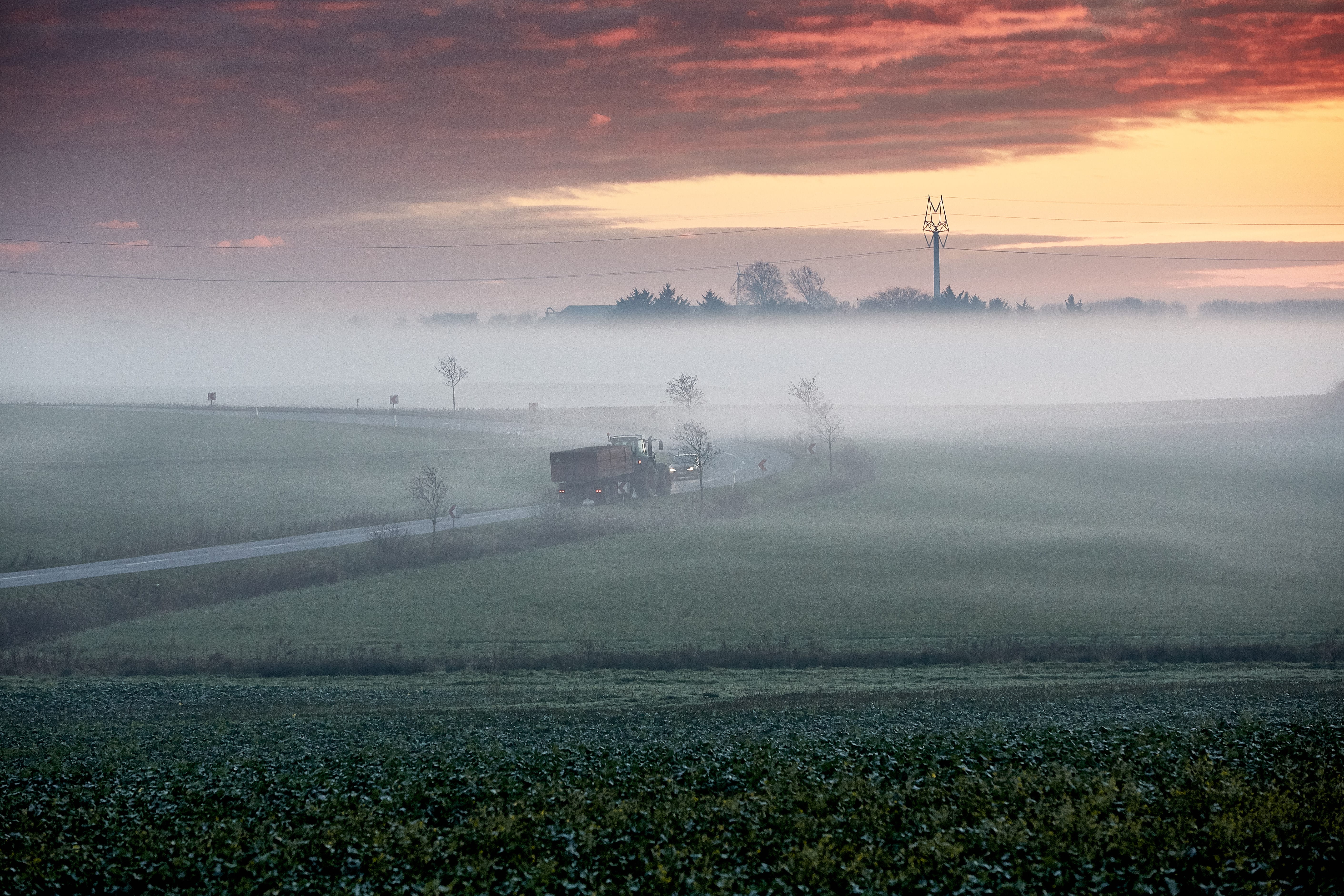 Tjente på mælk og tabte stort på svin