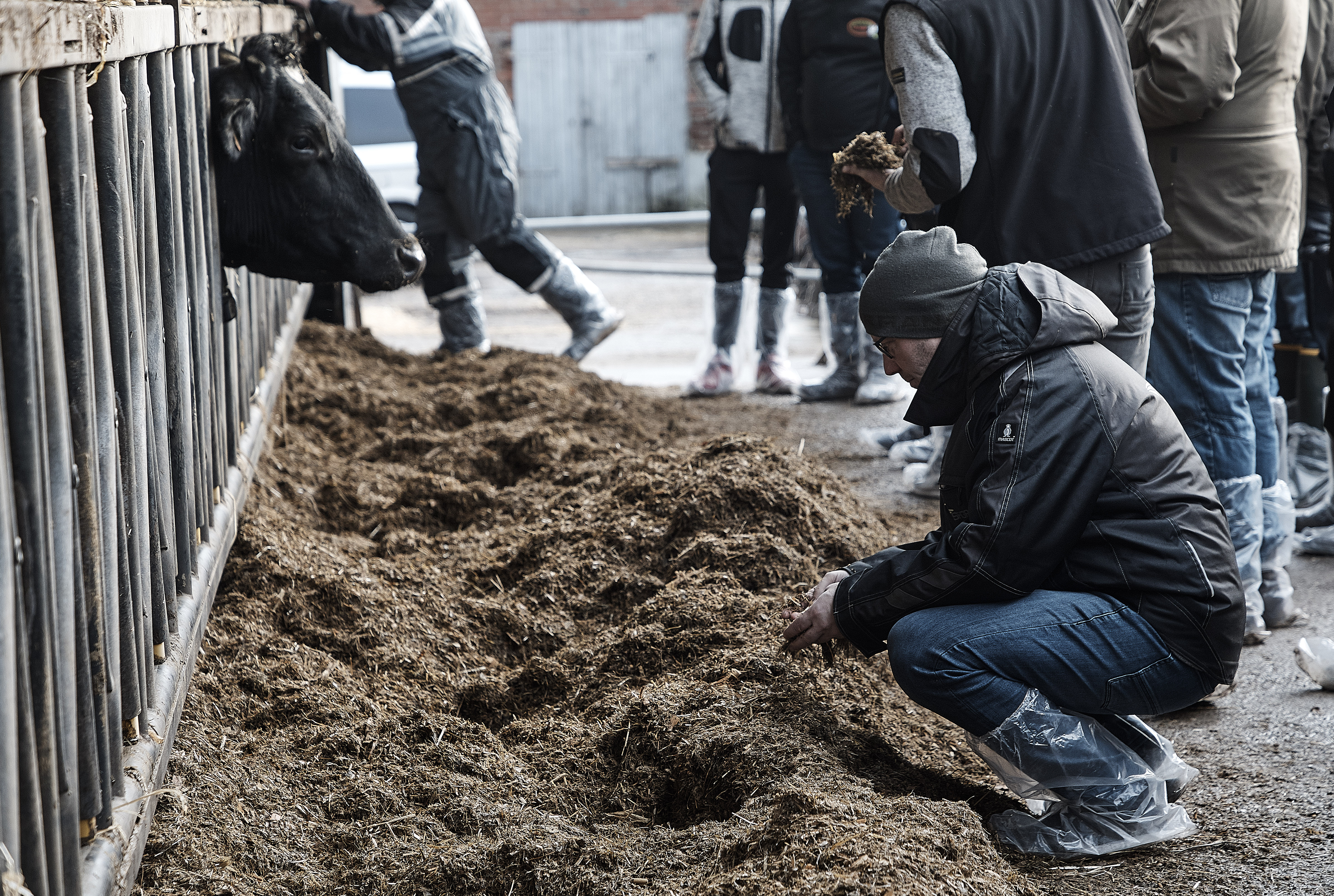 Ny erfagrupper mødes i uge 10