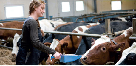 Tilbagerulning af regler vedr. udenlandske praktikanter