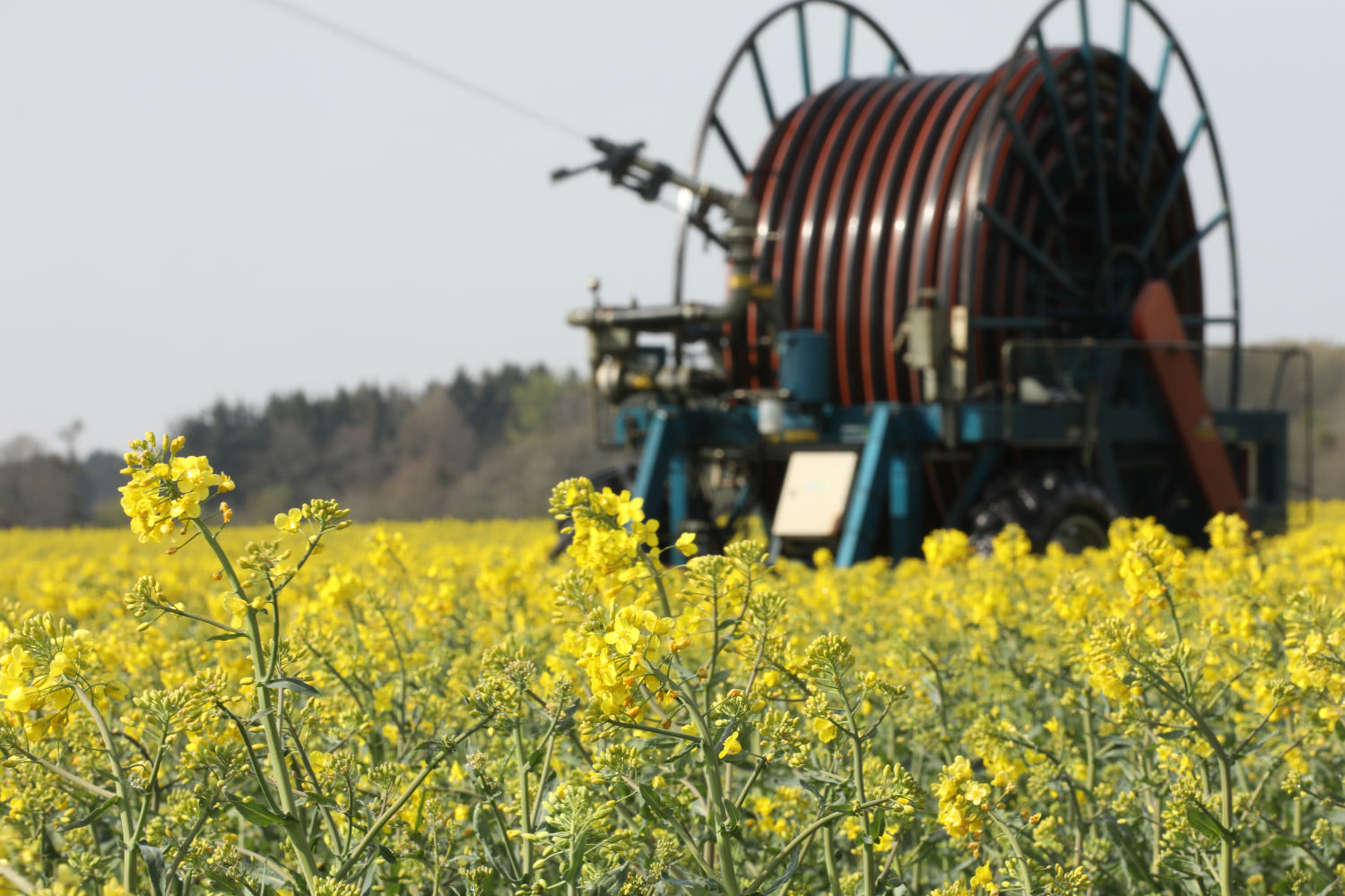 Vand nu – ellers er det lige meget