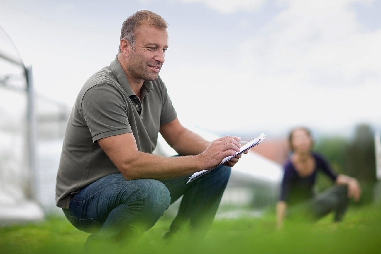 Økonomi og strategi