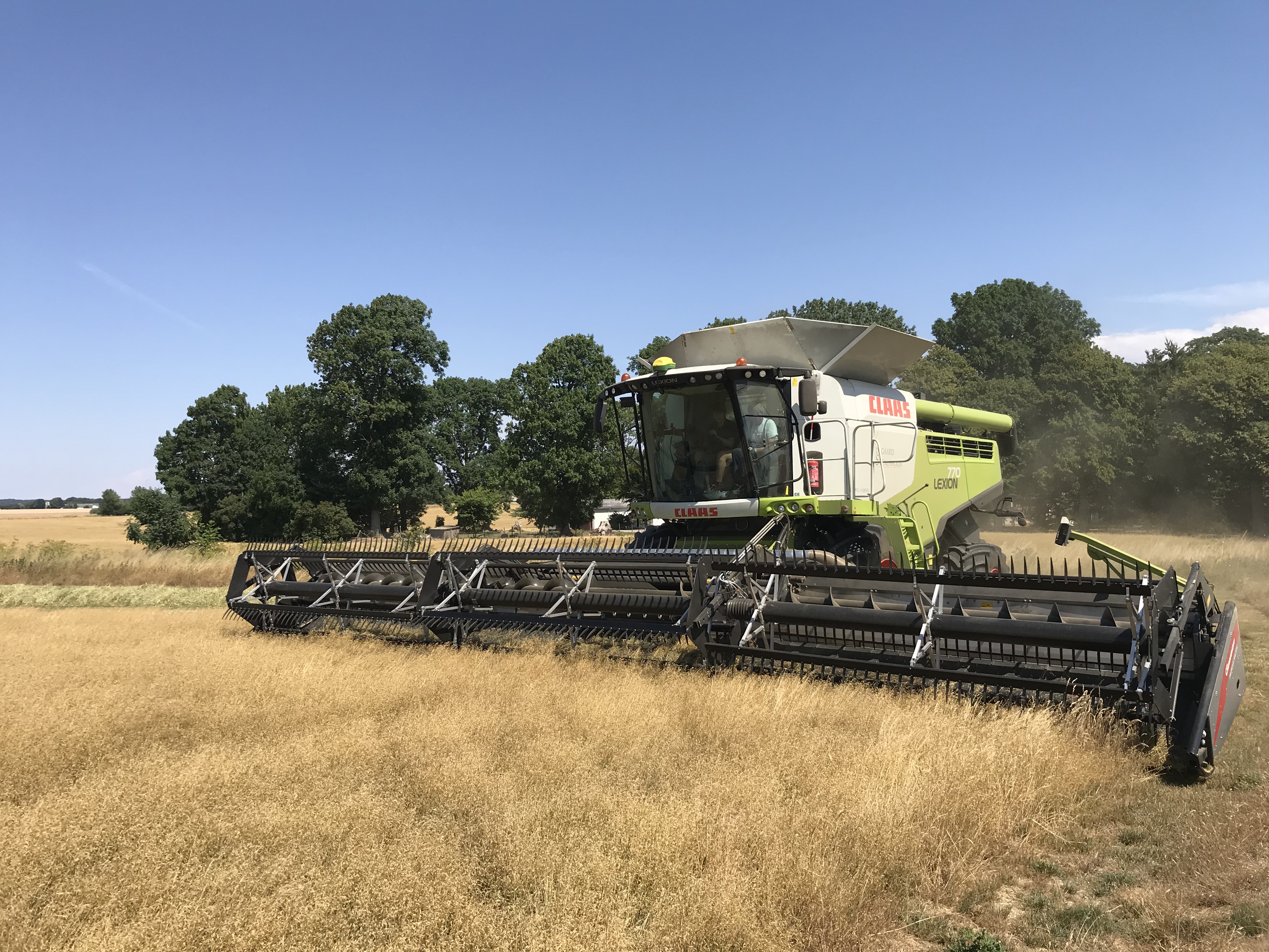 Høstteknik i korn og grovfoder