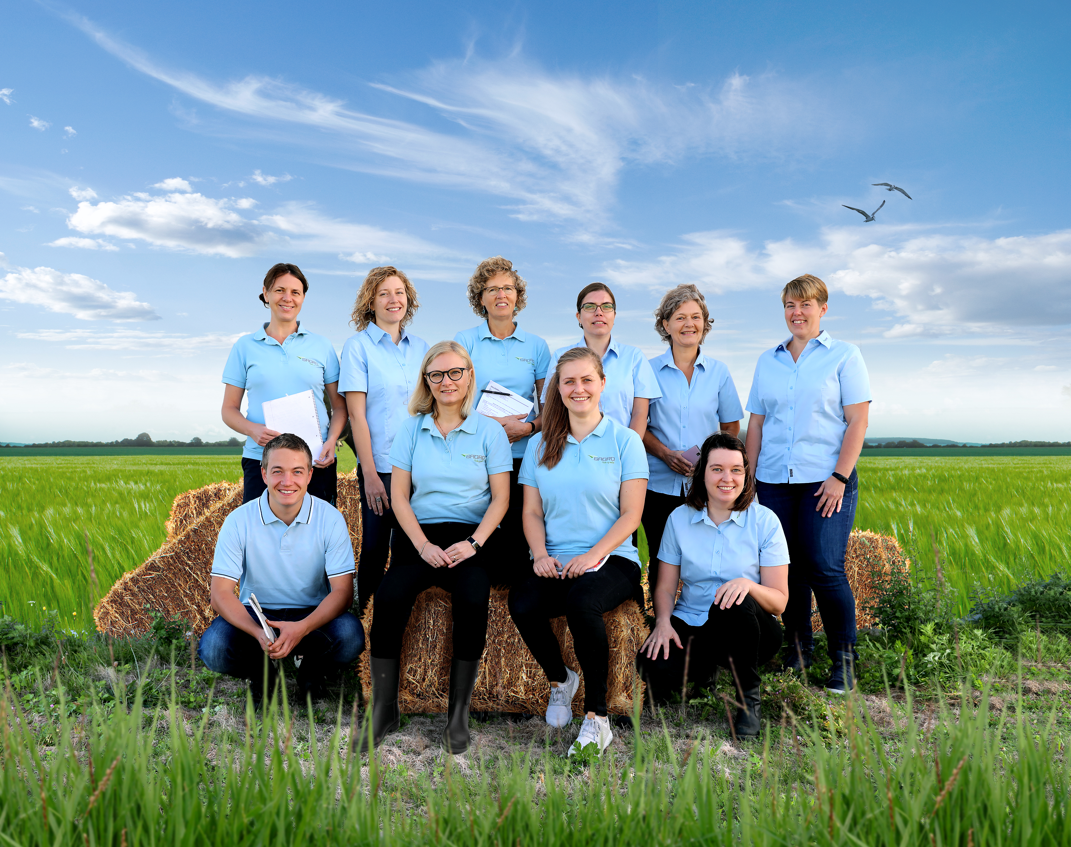 Optimer dine svinestalde