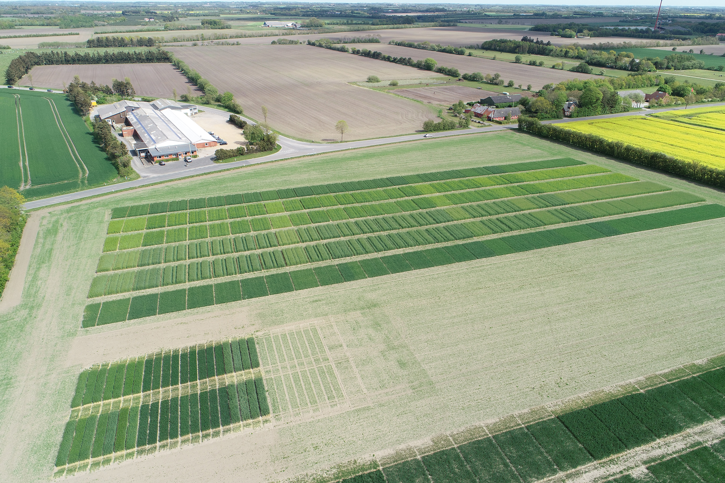 Markvandring i Gørding