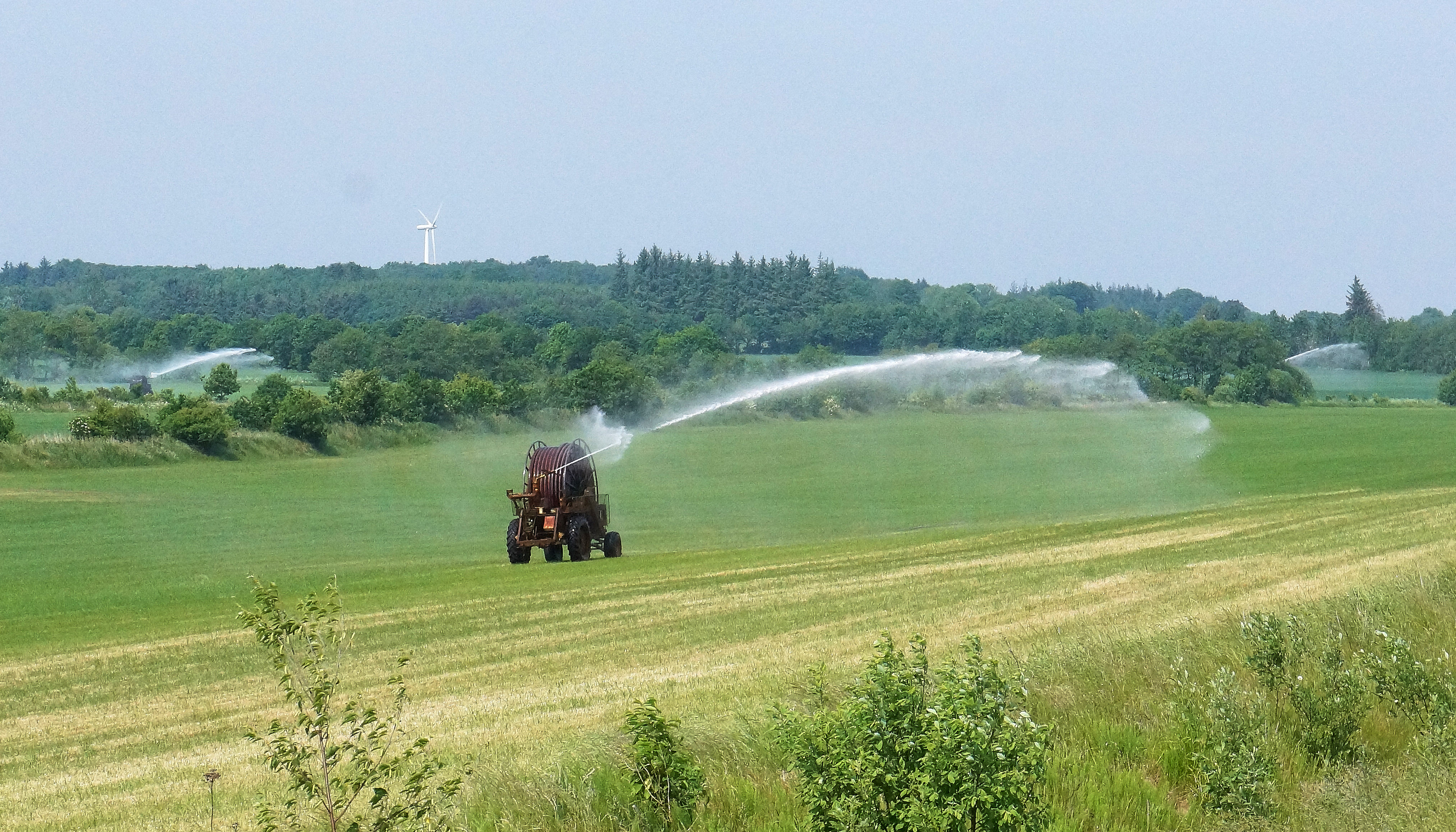Ubenyttede boringer beslaglægger millioner af m3 vand
