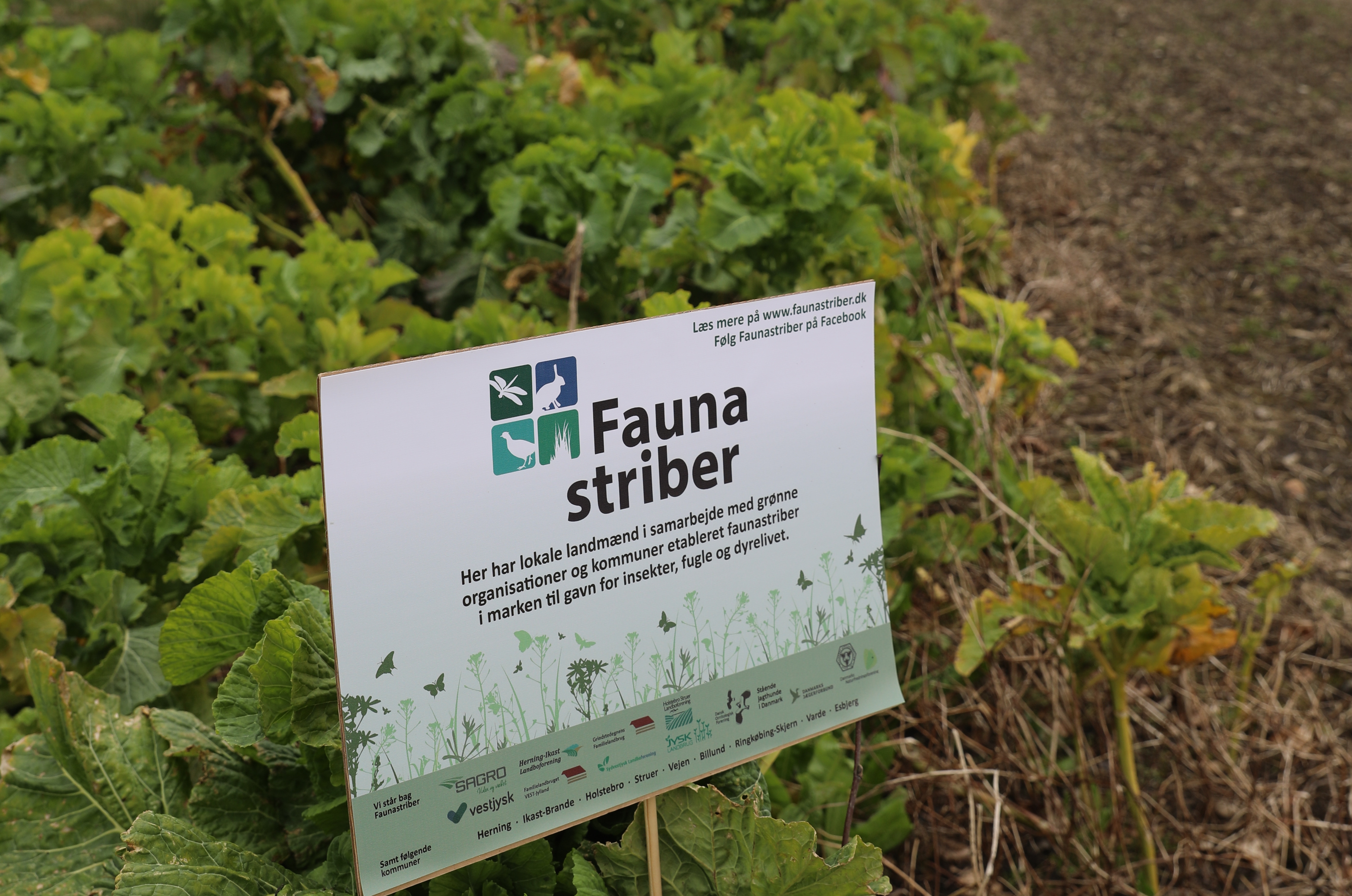Hæder for naturindsats uddeles ved en aften i naturens tegn