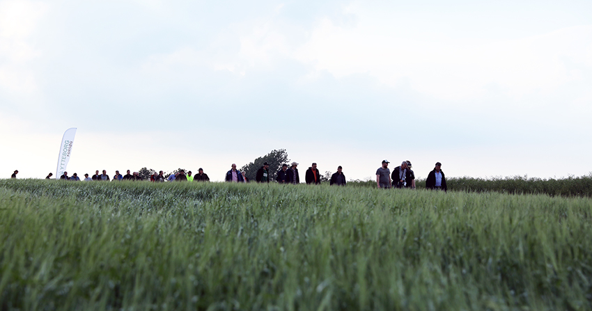 Perfekt planlagt planteaften