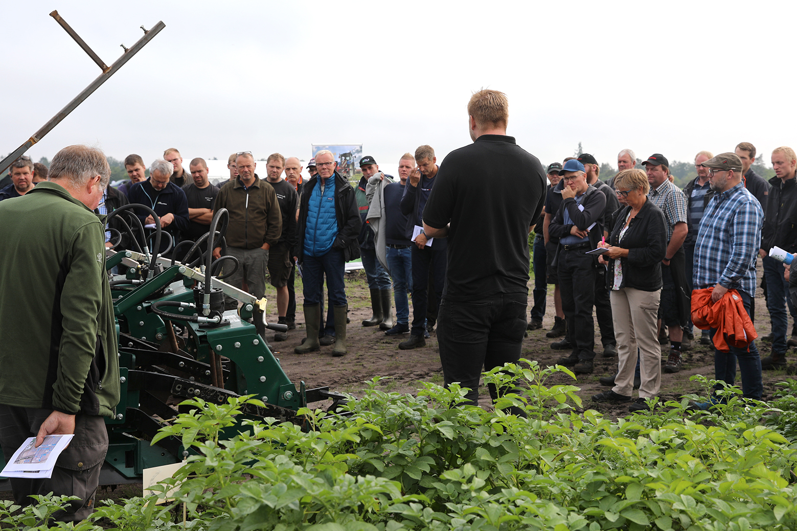 Rekordmange besøgte kartoffeldagen