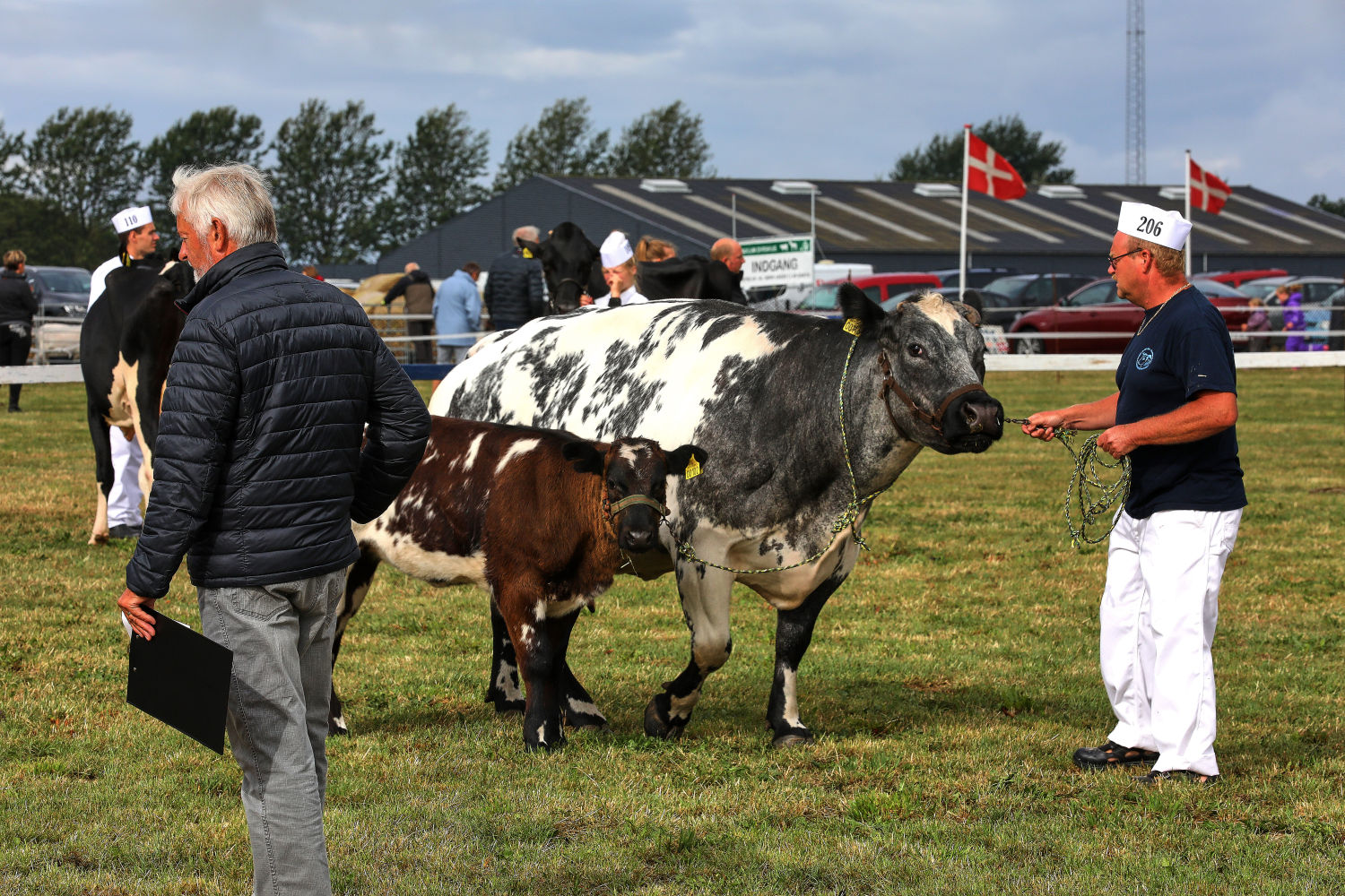 Mød os på dyrskue i Aulum