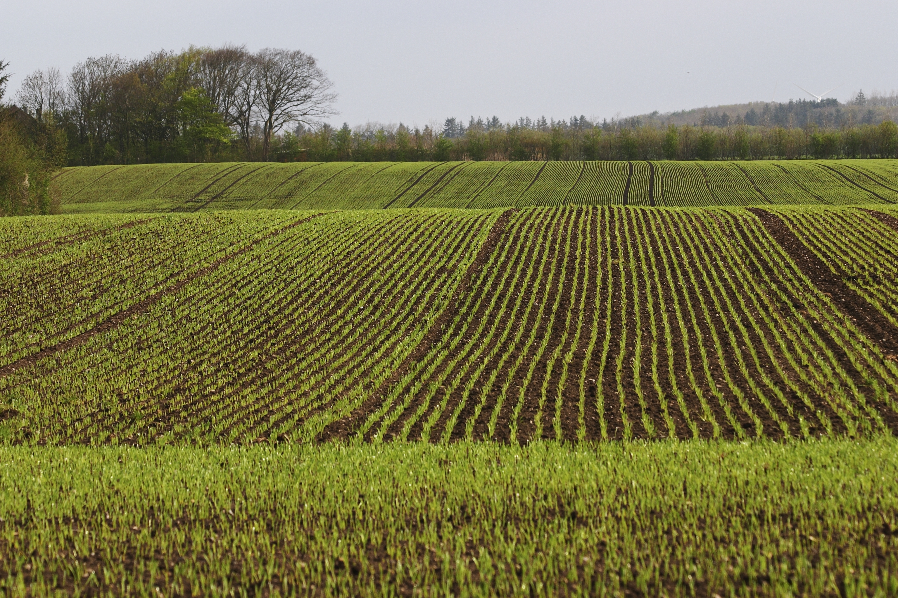 Klimahandlingsplan på din bedrift