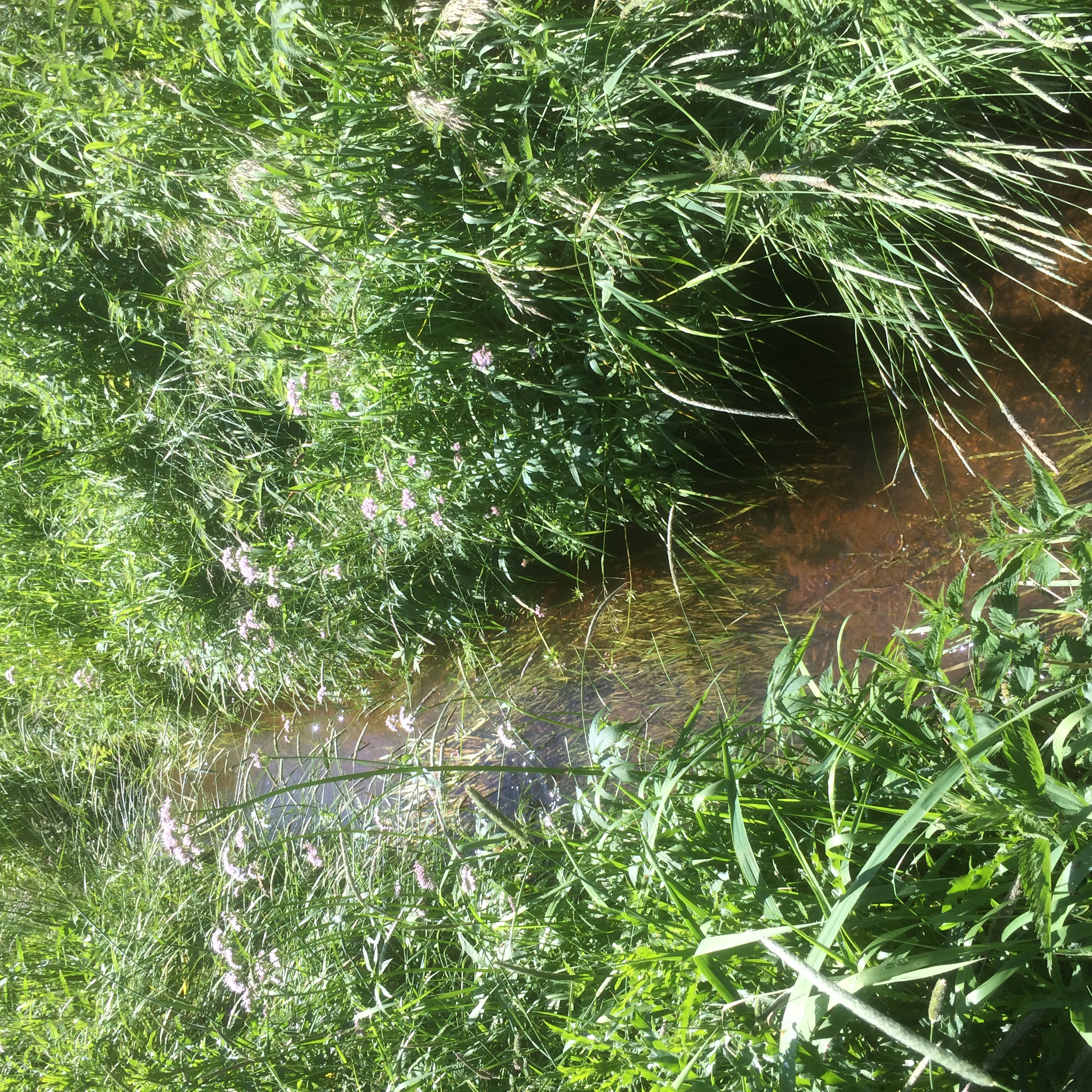 Grødeskæring uden afgrødeskader