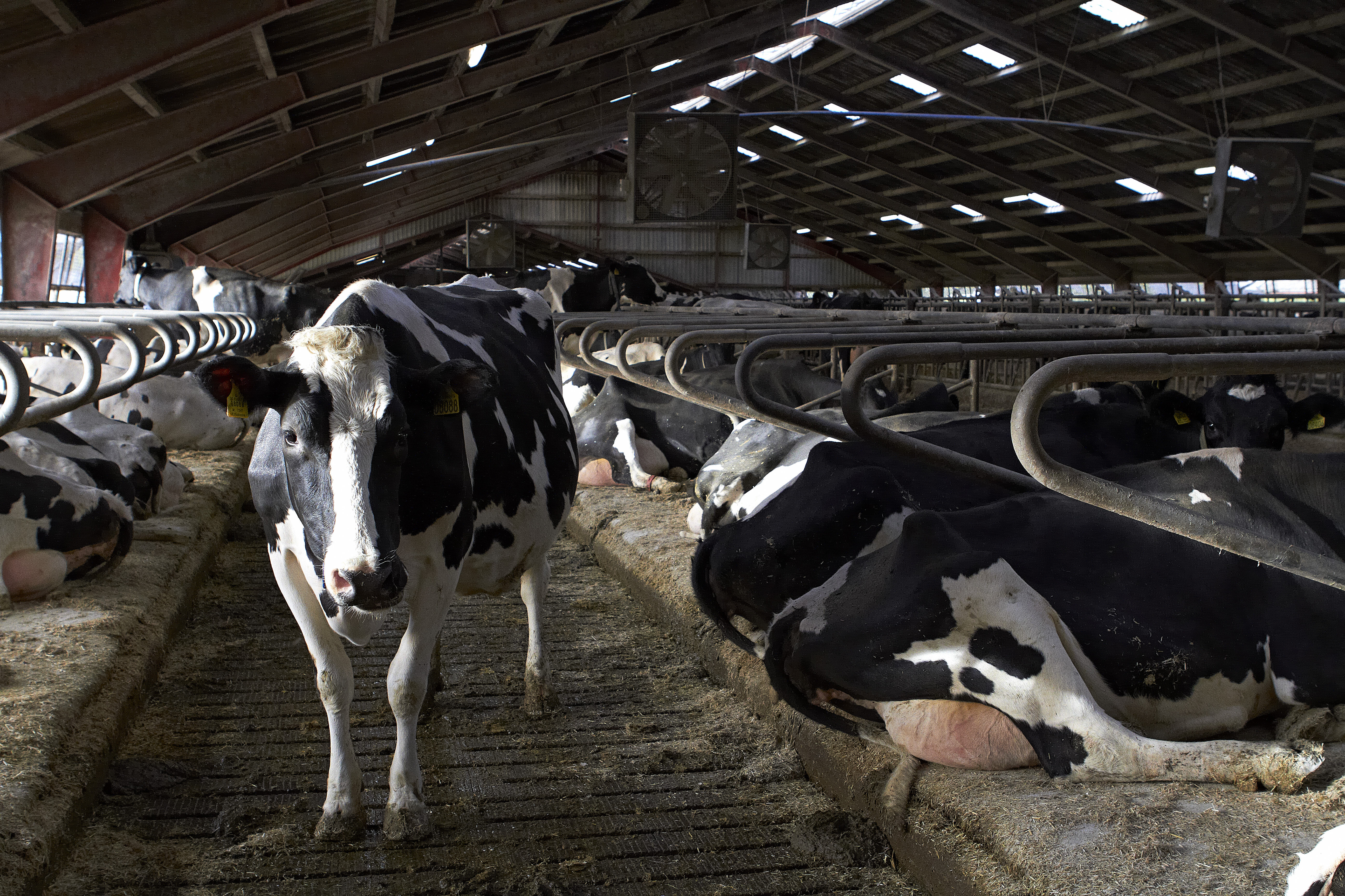 Vandpris varierer med 100.000 kr.