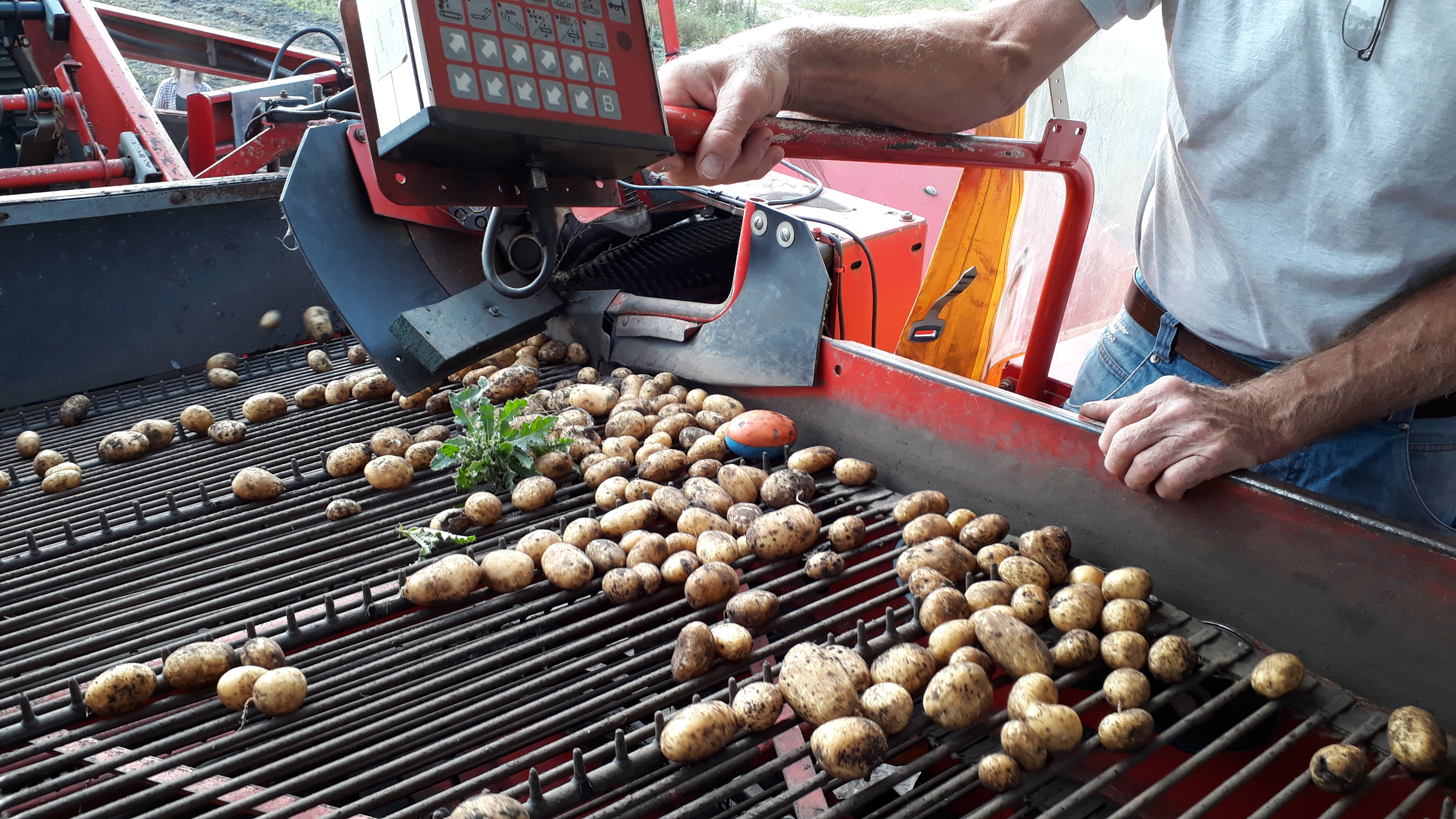 En varm elektronisk kartoffel sladrer