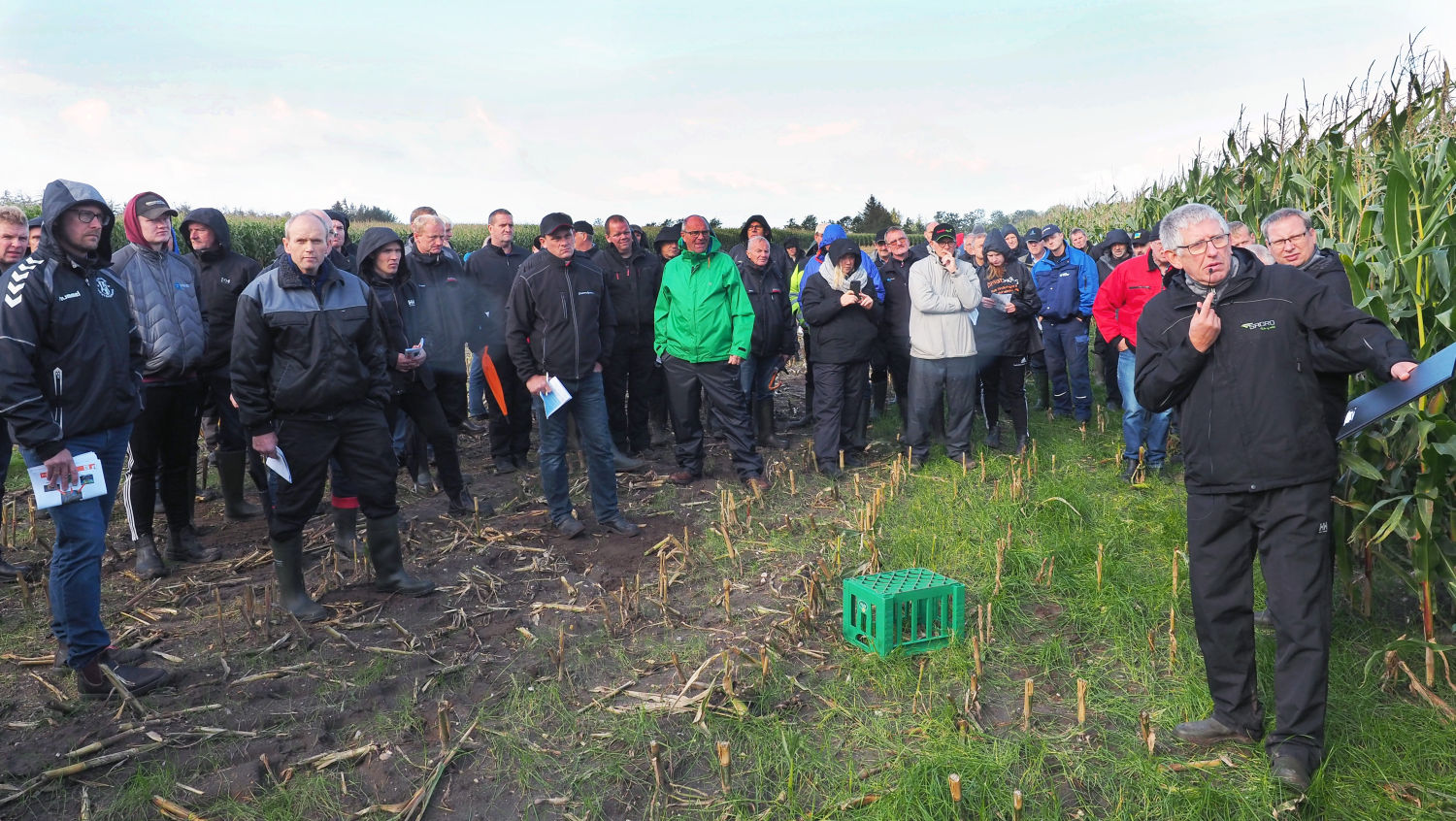 Tørt stof blev gjort fordøjeligt