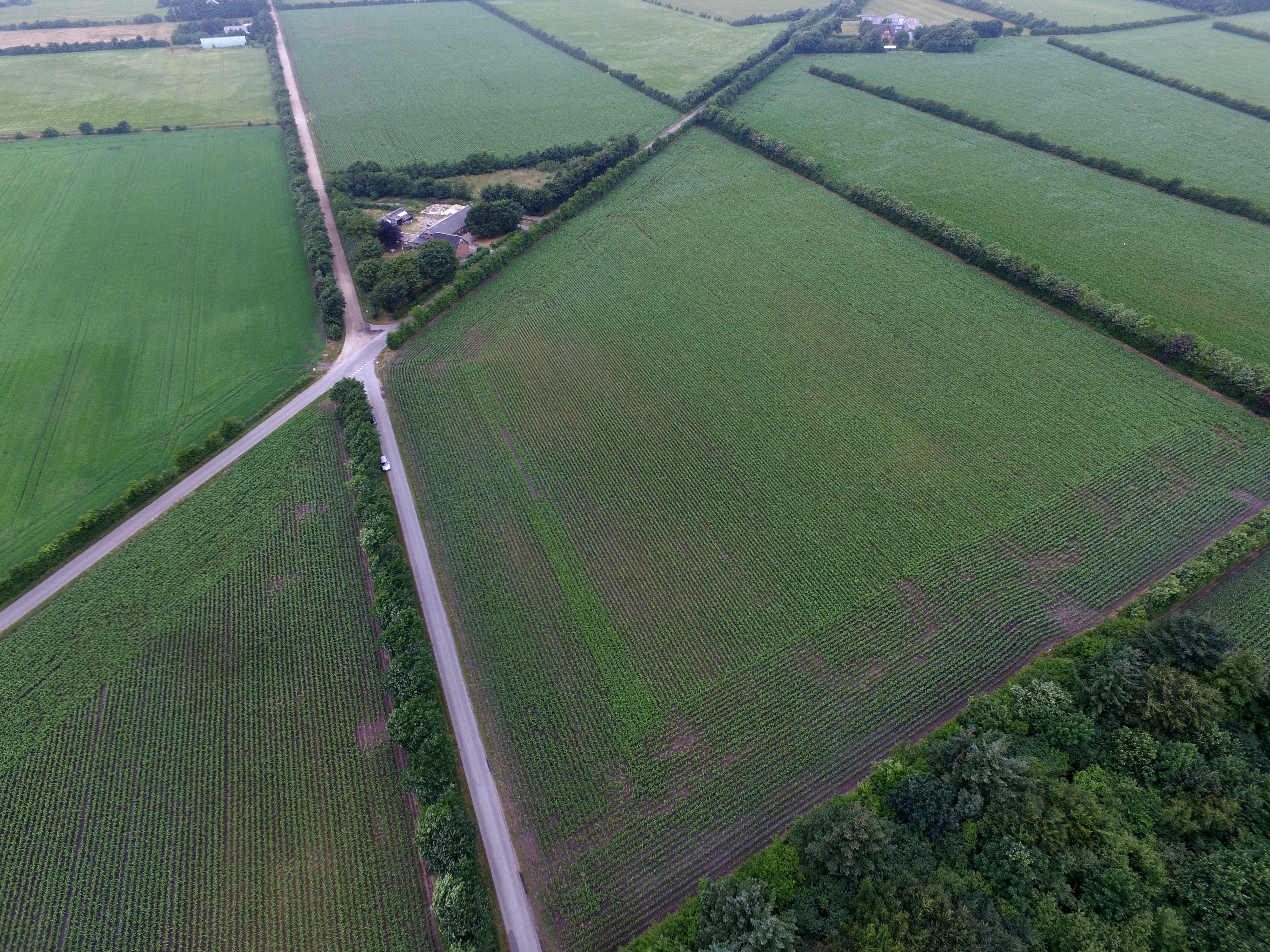 Krystalklart overblik over markopgaverne