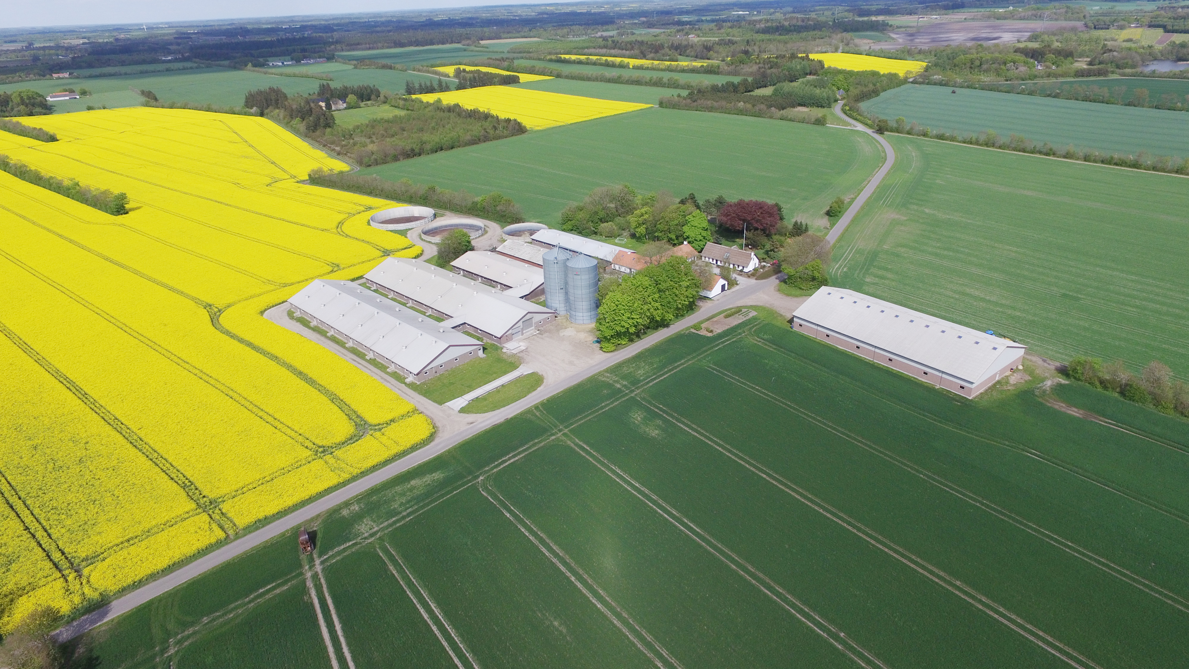 Jordfordeling ved Ølgod og Staby