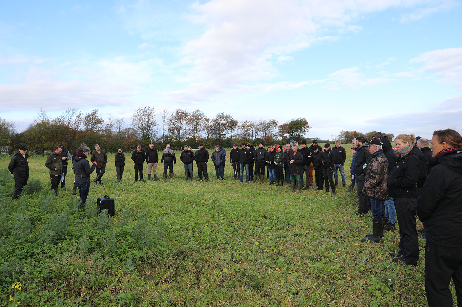 Fremvisning af efterafgrødekampen 2019