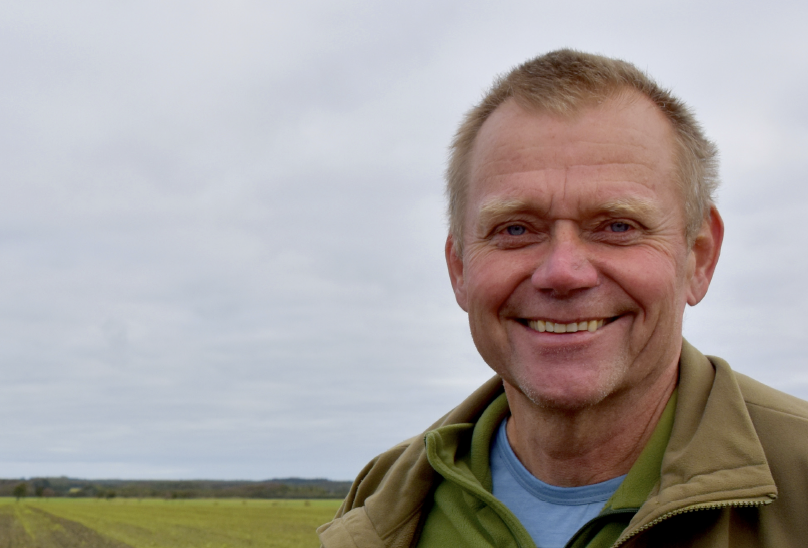 Plant striber af træer på dine marker – det betaler sig