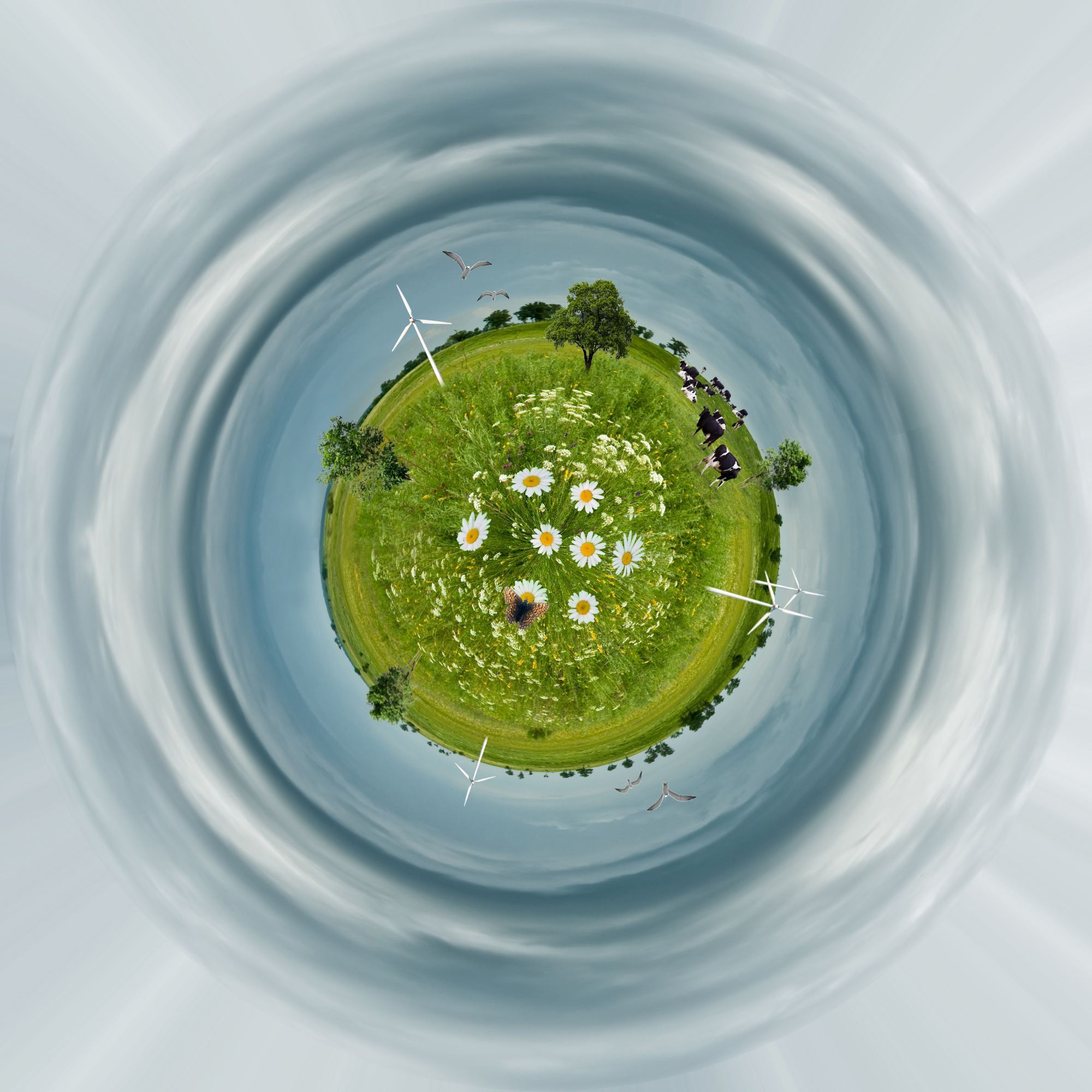 Halmballemøde: Hvordan sætter vi gang i den bæredygtige udvikling?