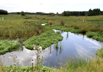 Odderbæk Vandløbslaug får 200.000 kr. i naturpris