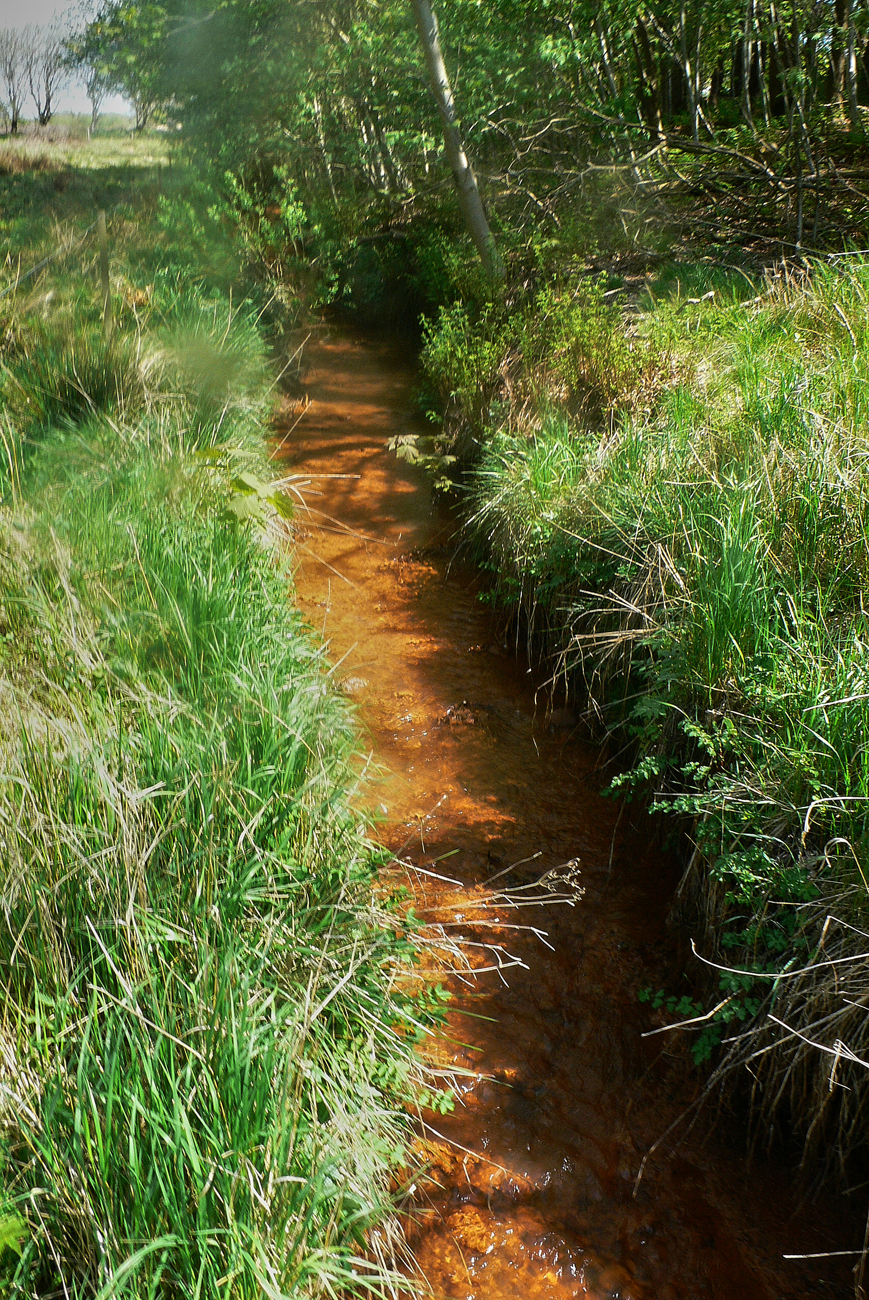 Røde vandløb kan skyldes ulovlig drænspuling
