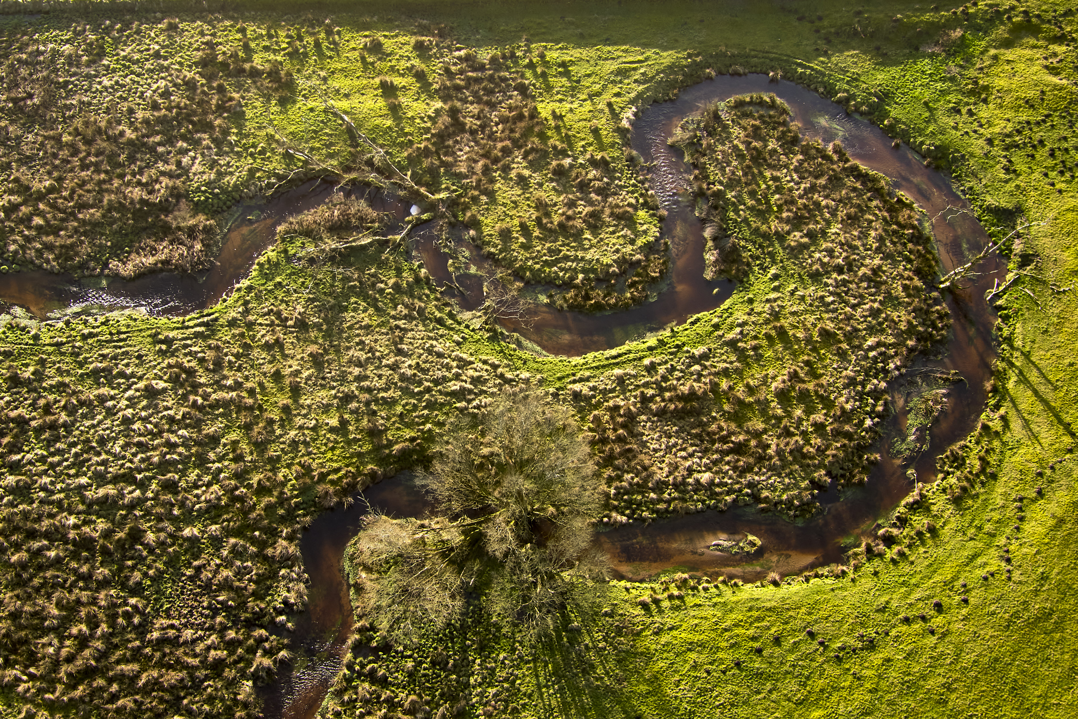 Vandløbsindsats for mange millioner
