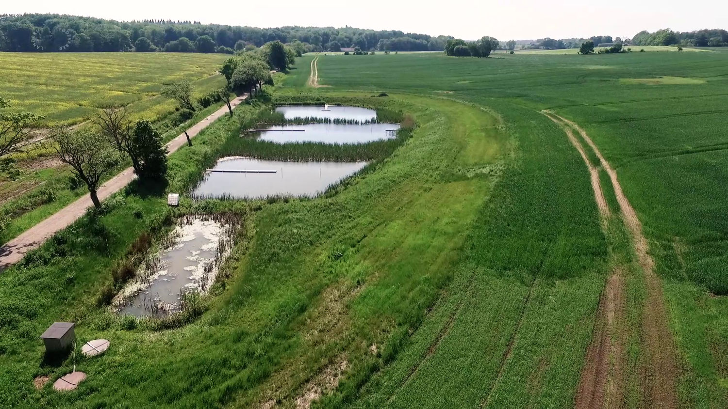 Få et minivådområde på din ejendom