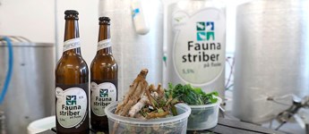 Vind 10 Faunastribe-øl