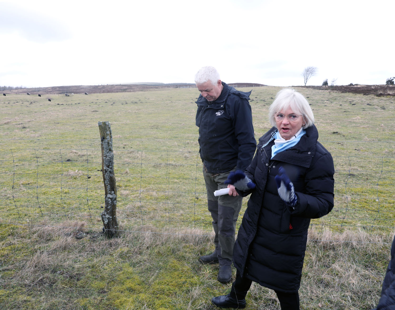- Ulven hører ikke hjemme i Danmark